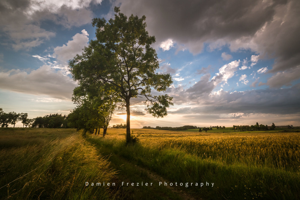 Golden Hour