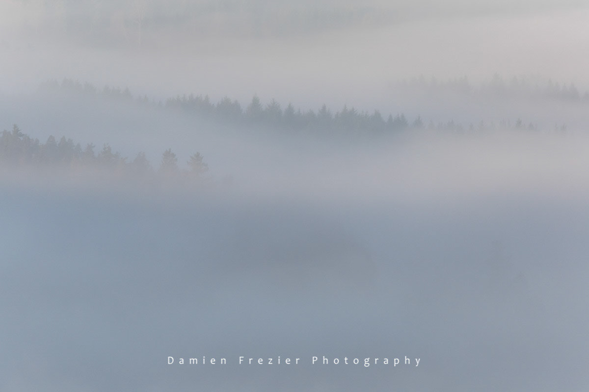 Lost Horizons