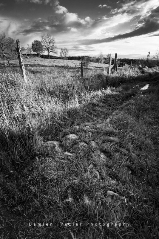Following The Path