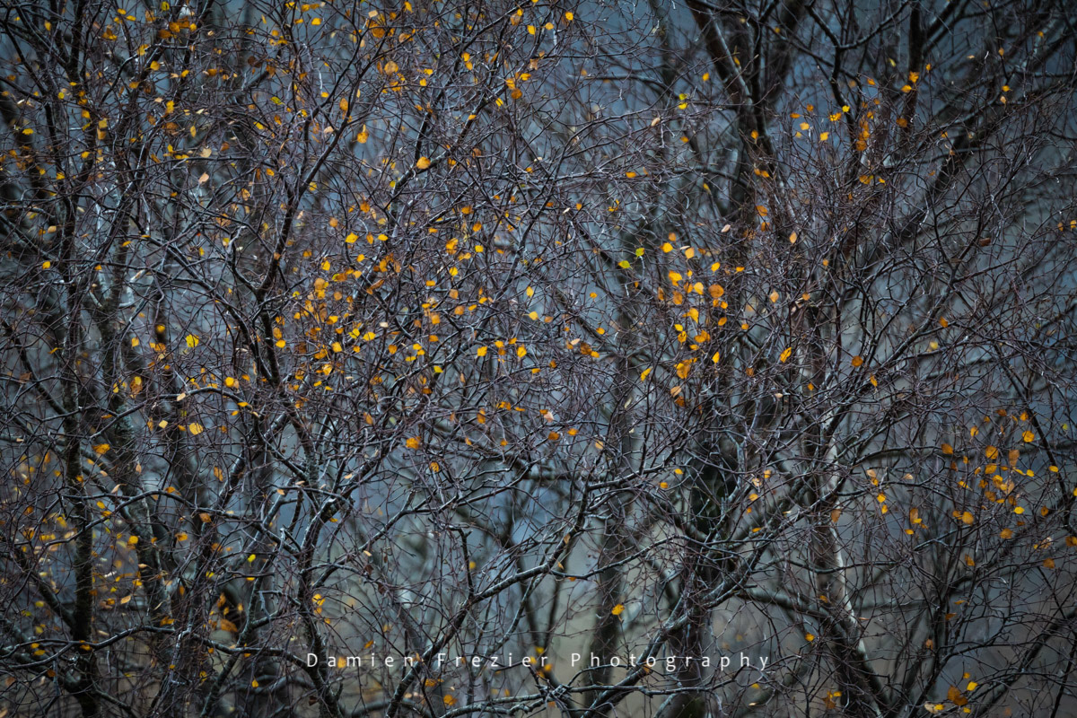 Remnants - Glencoe