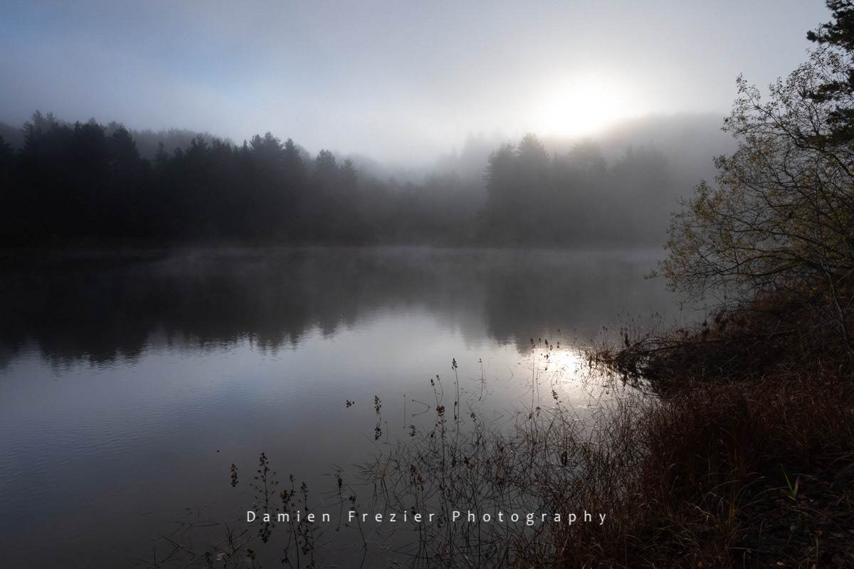 Quiet Morning