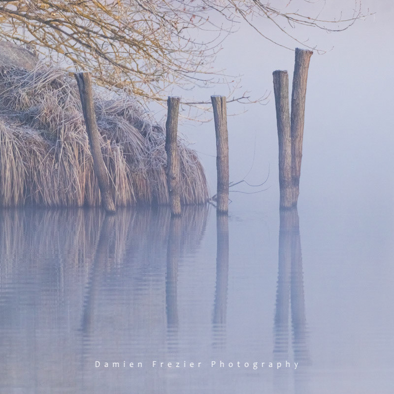 On The Riverbank
