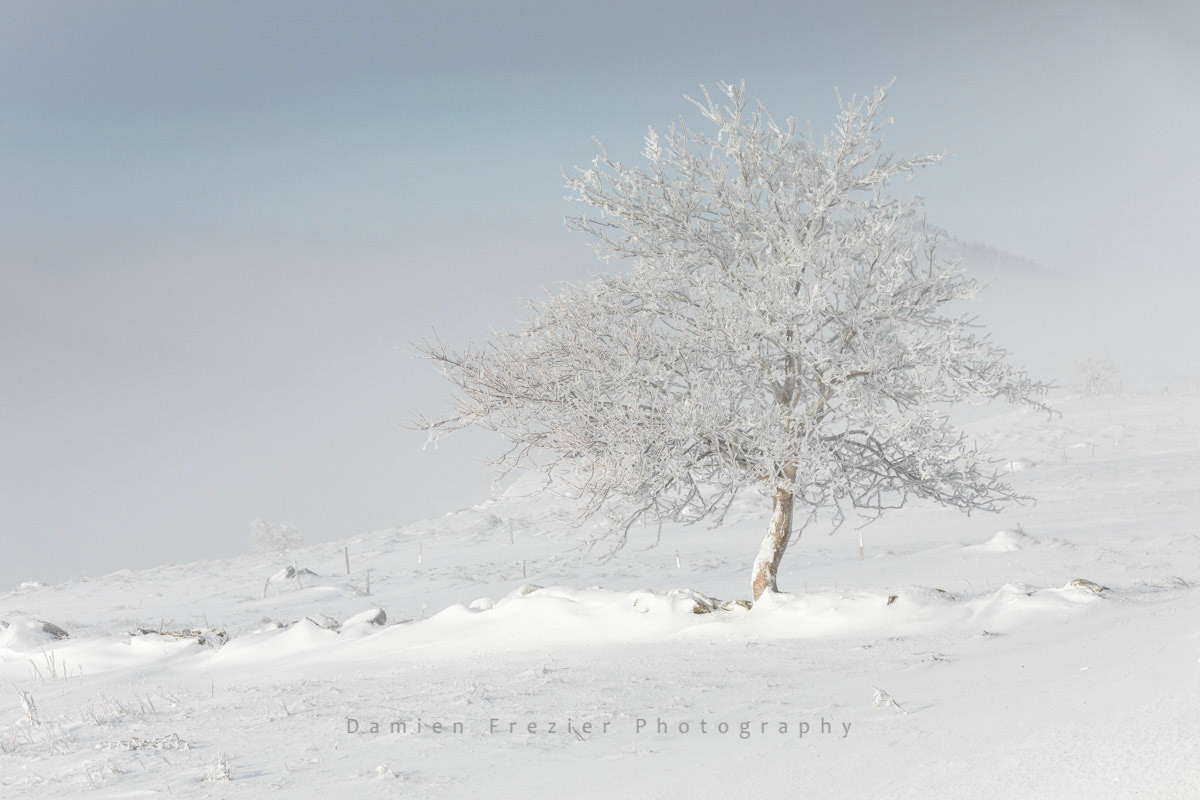 Winter-Made