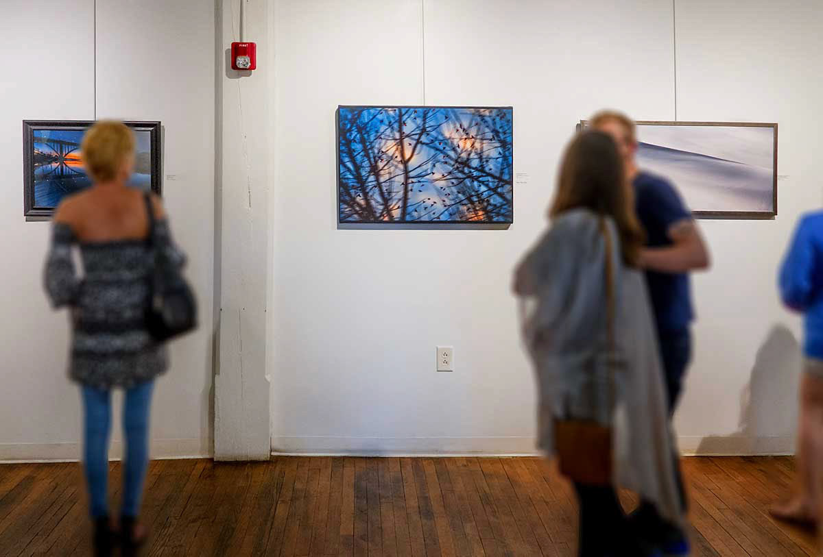 Knoxville Art and Culture Alliance, Knoxville, TN