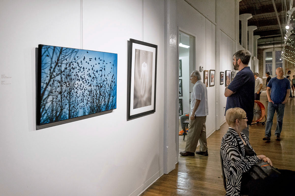 Knoxville Art and Culture Alliance, Knoxville, TN