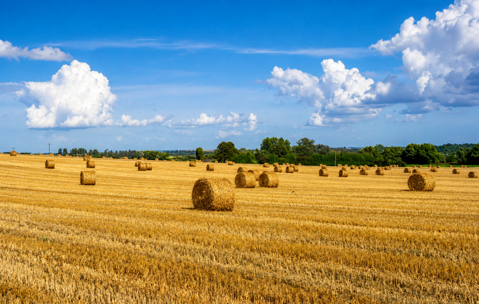 Hay Bales in Kent 1993
