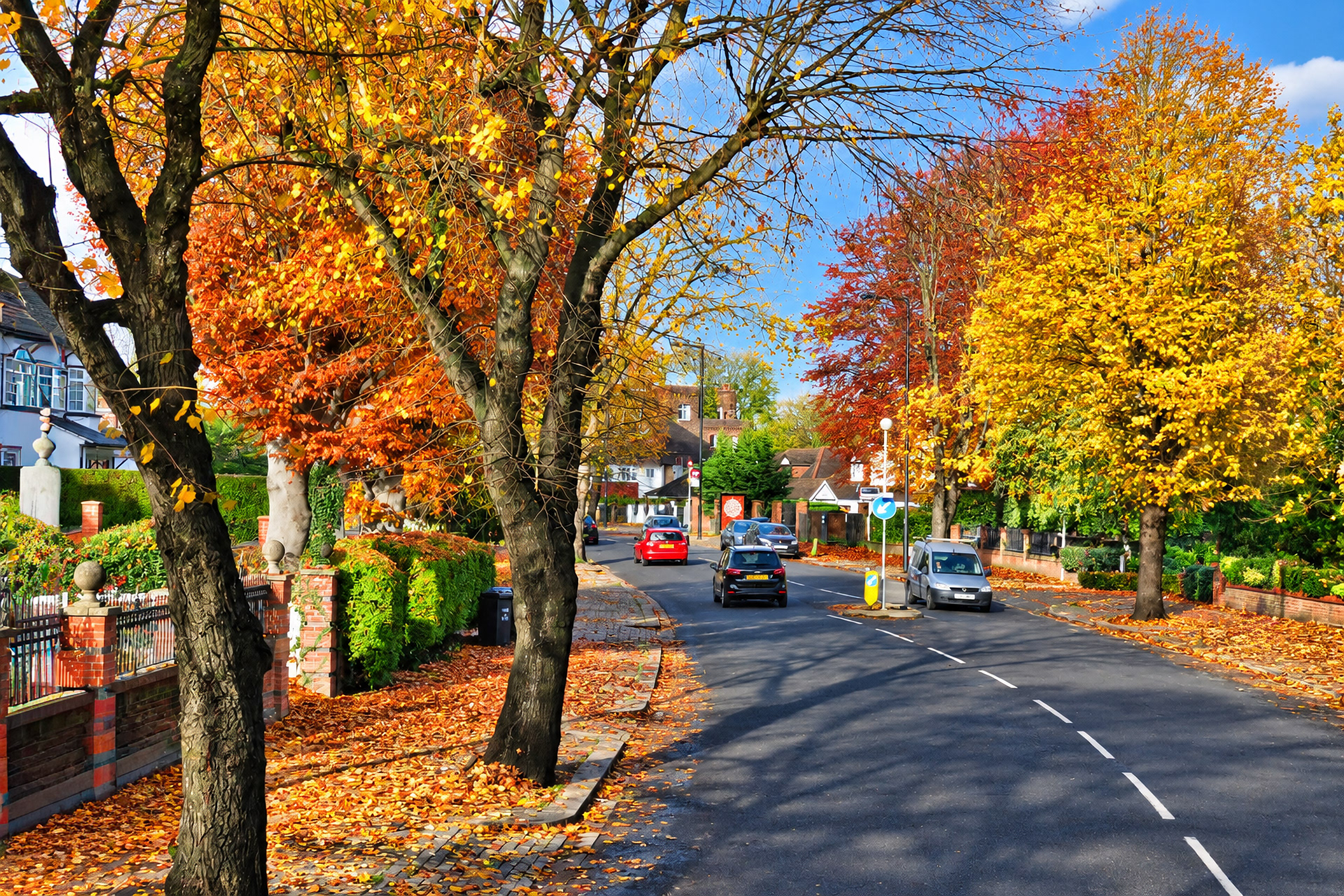 Park Avenue, Bush Hill Park, Enfield 24th November 2014