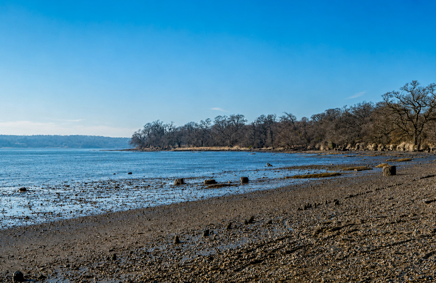 River Orwell Nacton Shores 1980