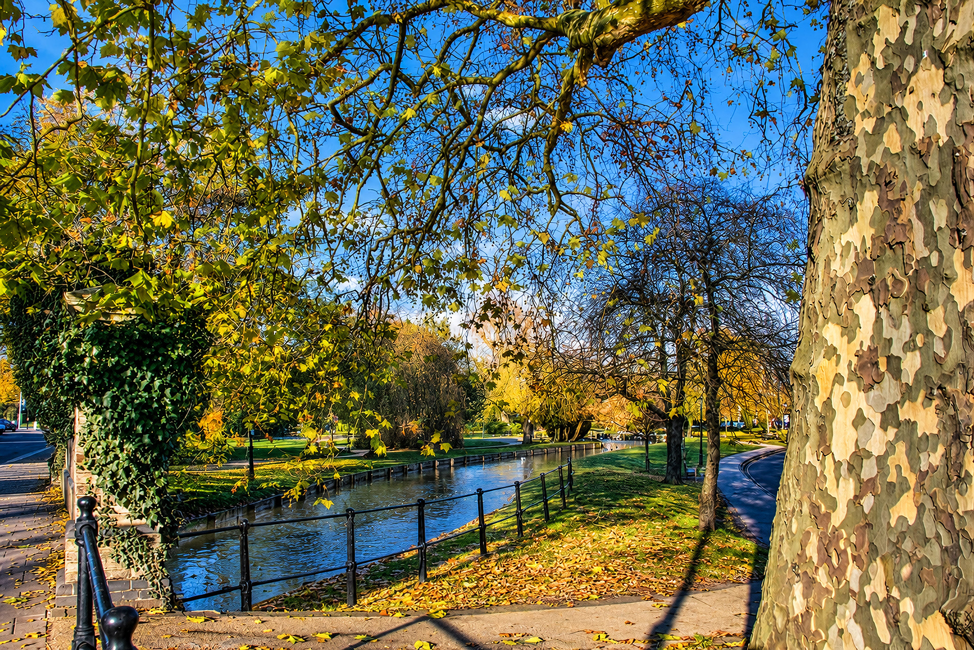 Enfield Town 26th November 2010