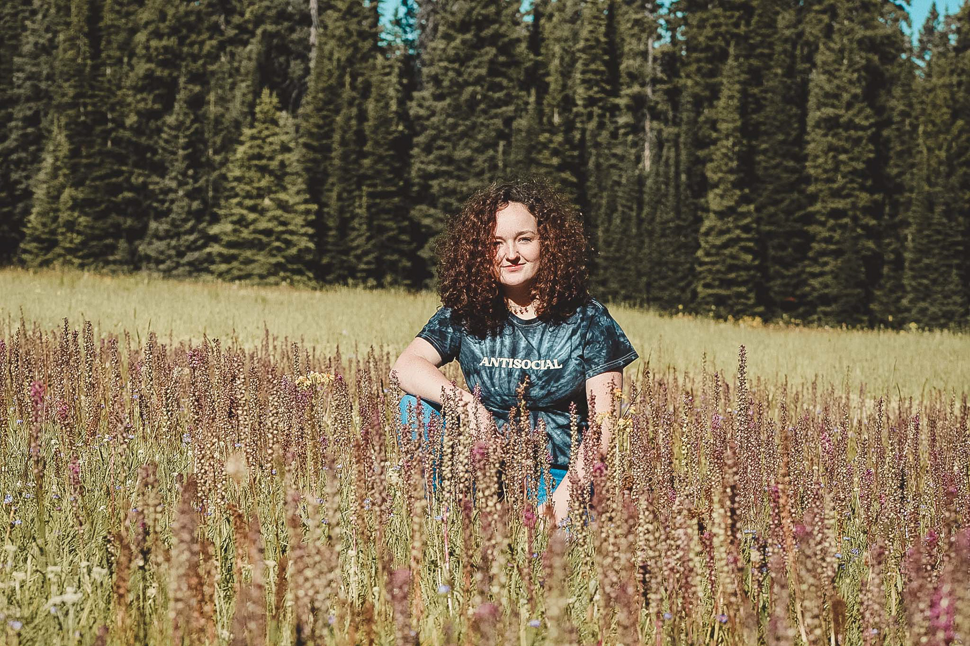Sadie - 3