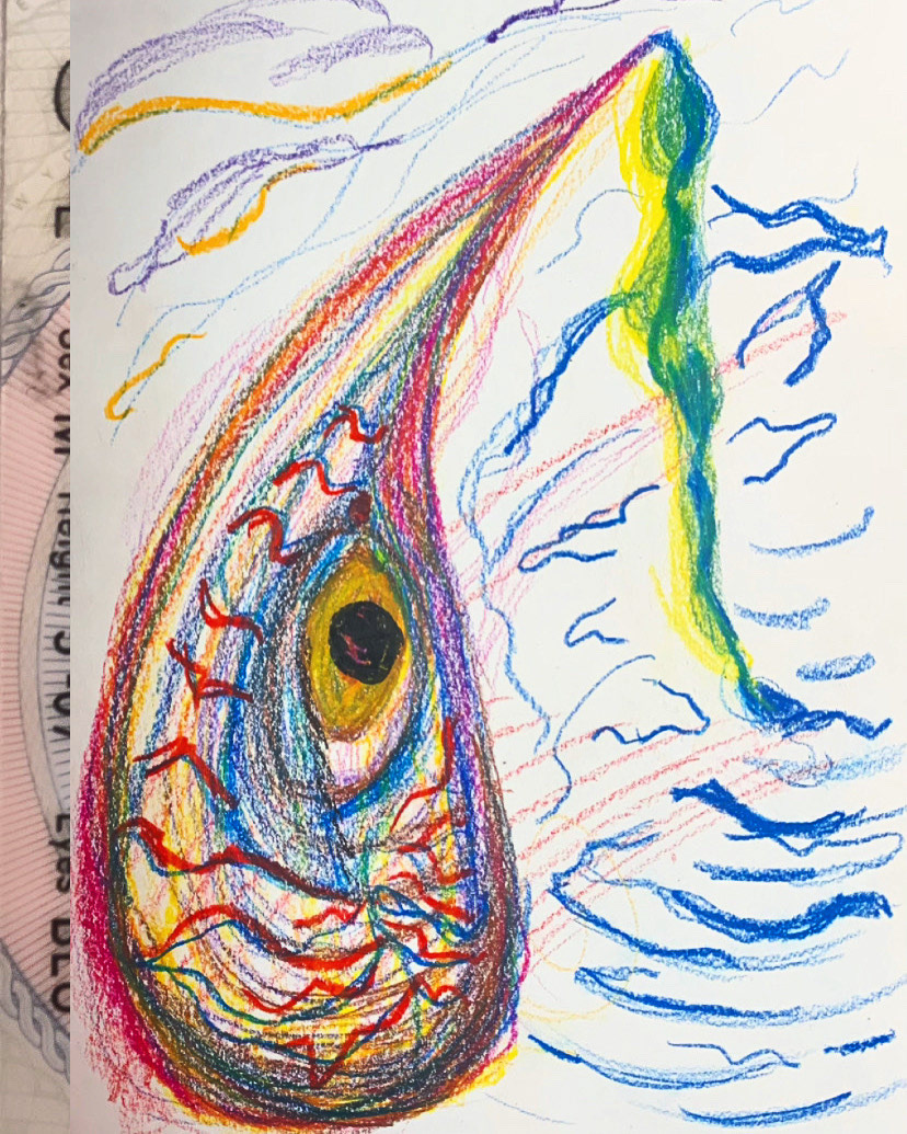 HIGH SCHOOL BIOLOGY TEXTBOOK COVER ILLUSTRATION (VARIANT 9), crayon on sketchbook paper + collaged with photo