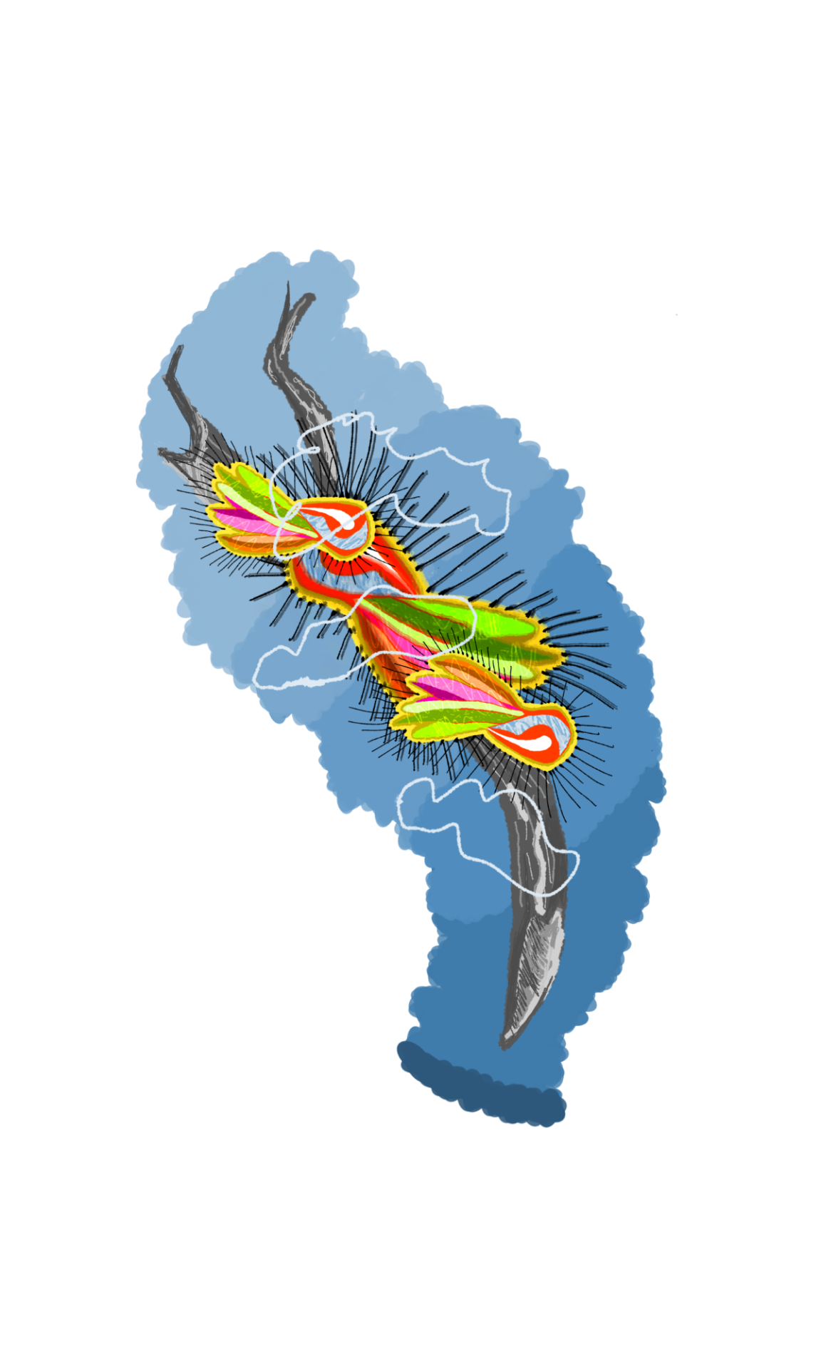 PUPATING, PARANOID, PUBLIC PROPERTY, digital painting