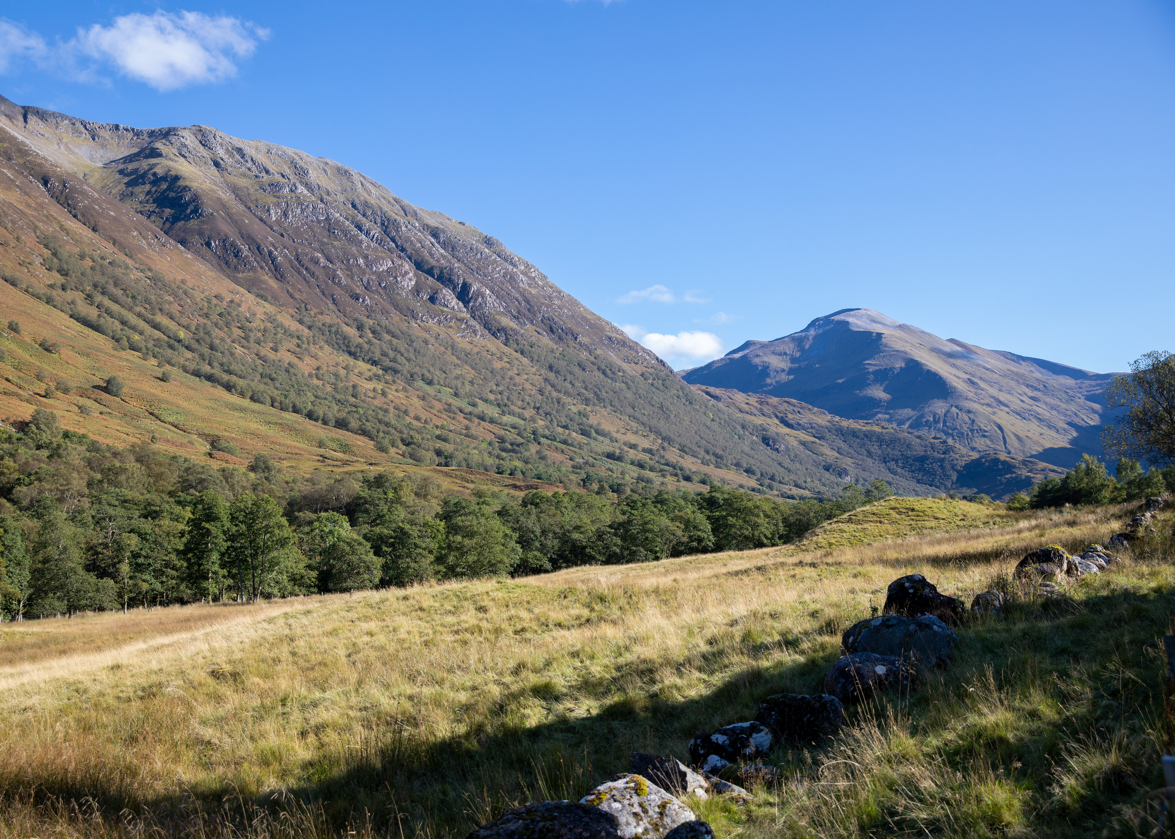 Scottish Views 7