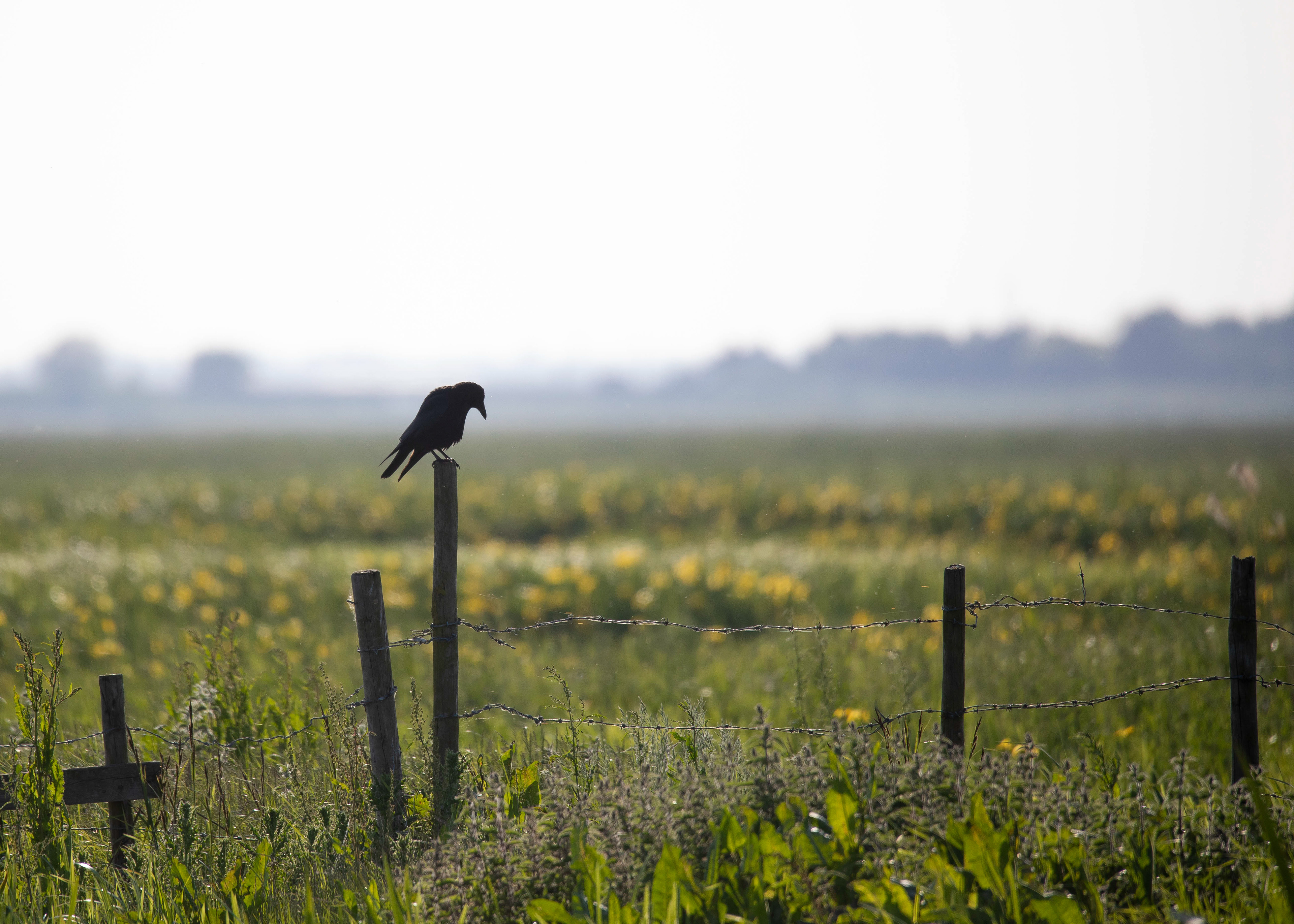Whittlesey & Eldernell 1