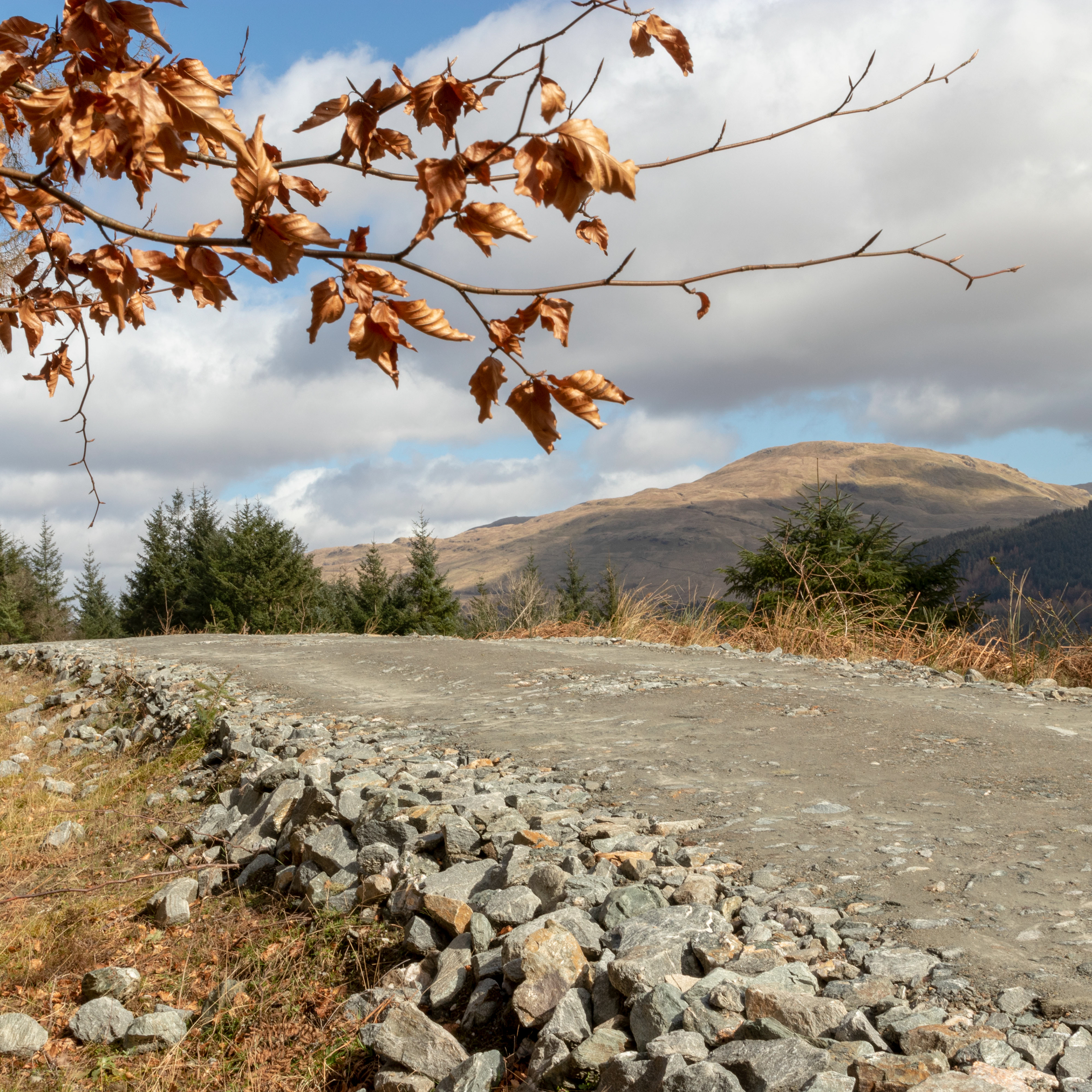 Scottish Views 12