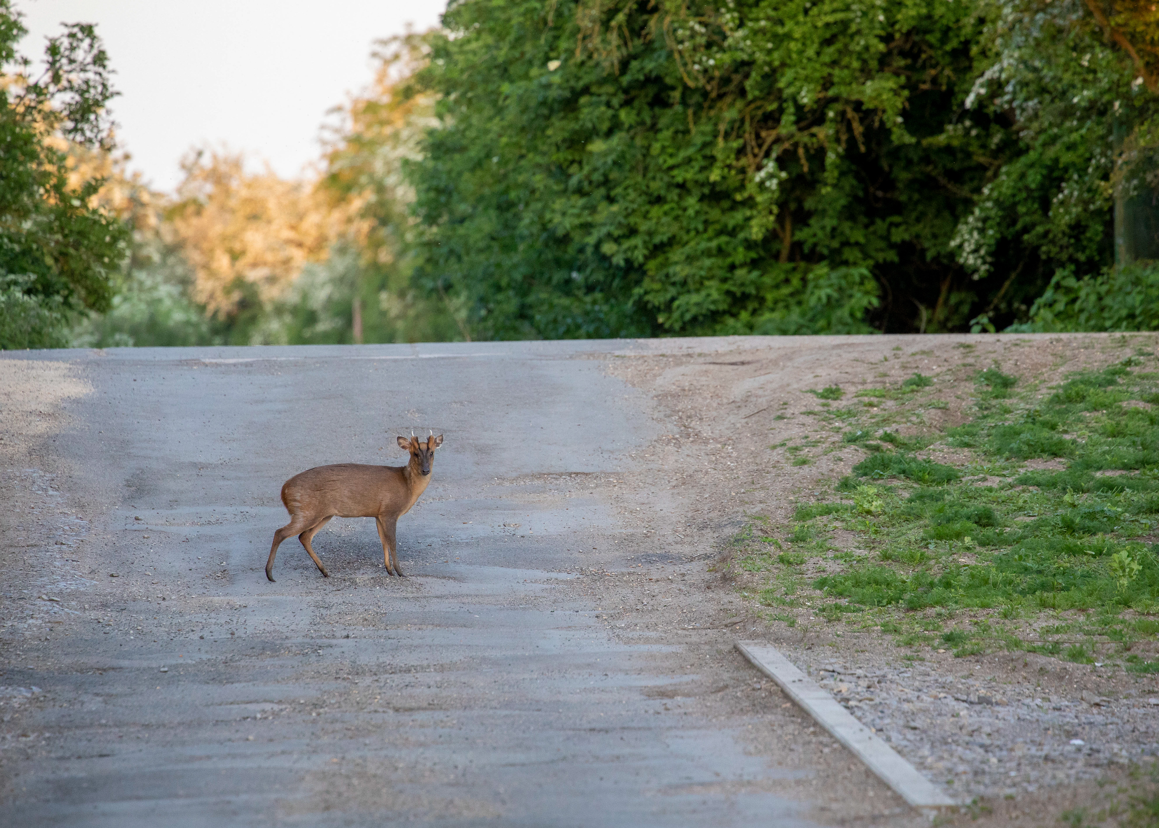 Whittlesey & Eldernell 11