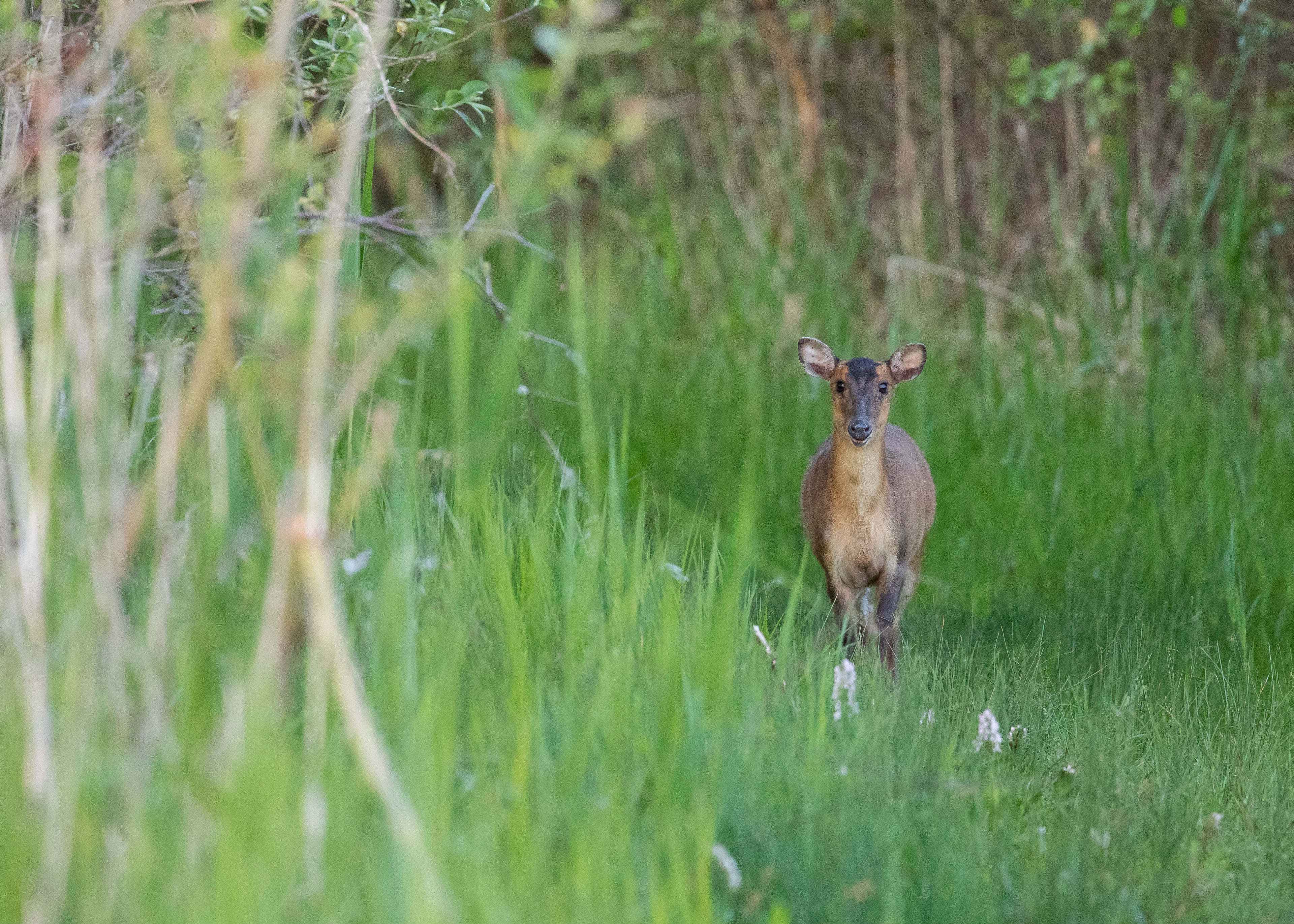 Whittlesey & Eldernell 12