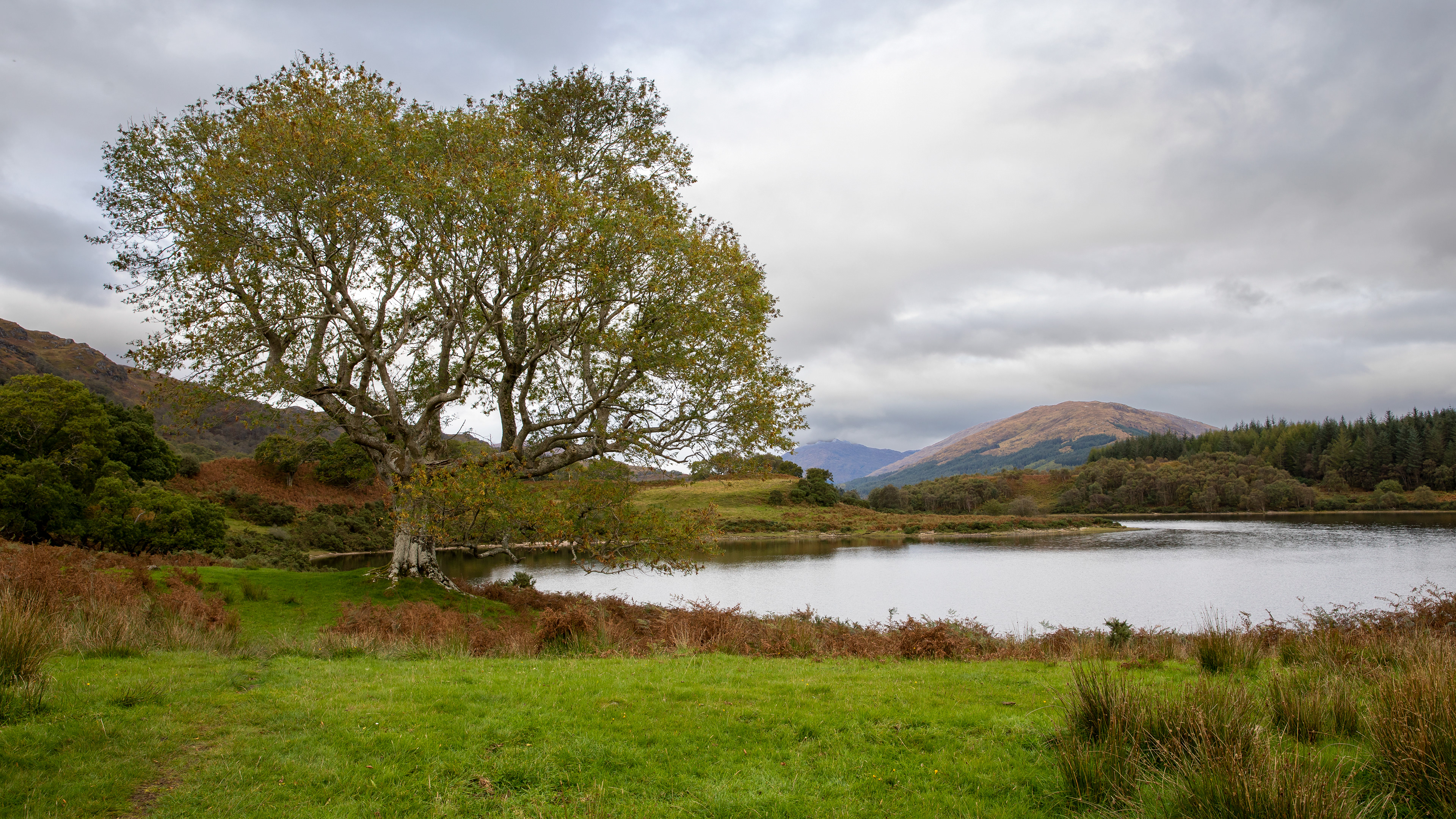 Scottish Views 5