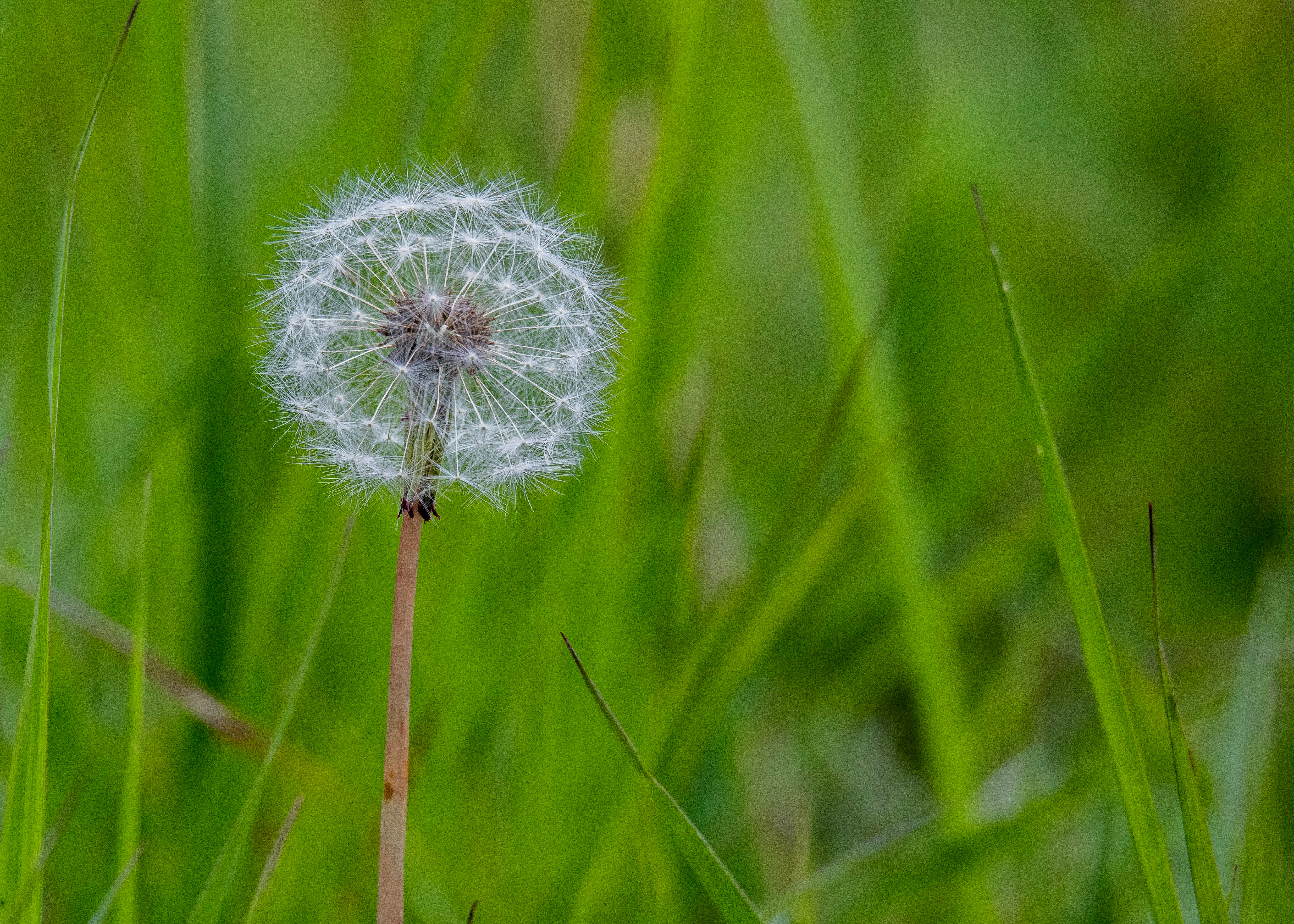 Whittlesey & Eldernell 6