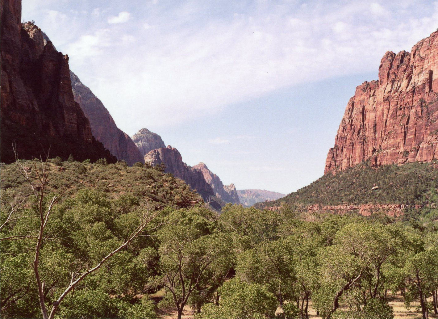 Zion National Park // July 2019