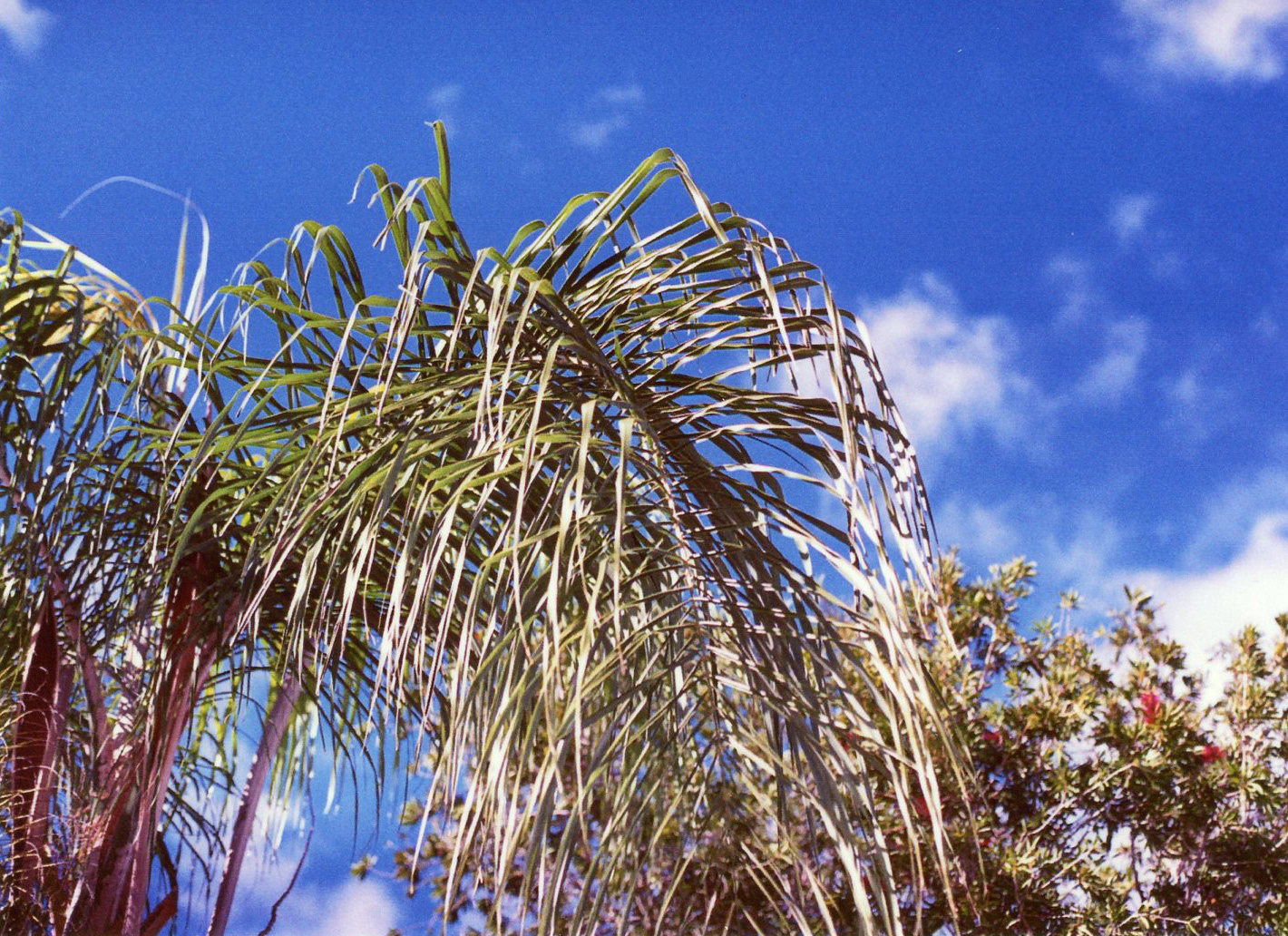 Florida // December 2018