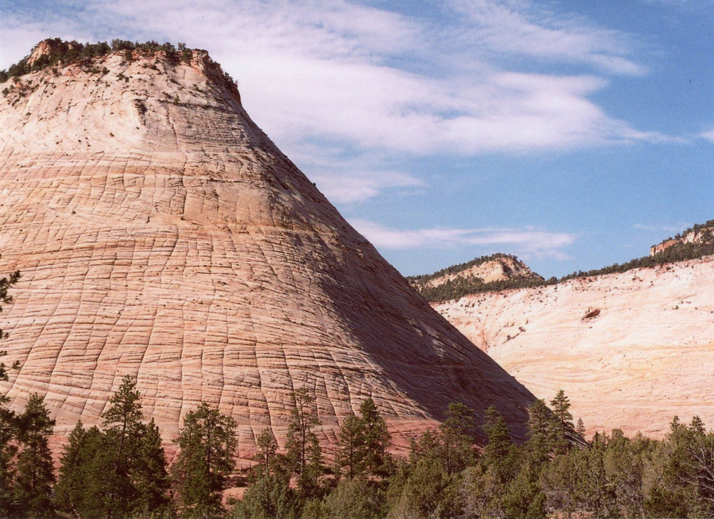 Zion National Park - Checkerboard Mesa // July 2019