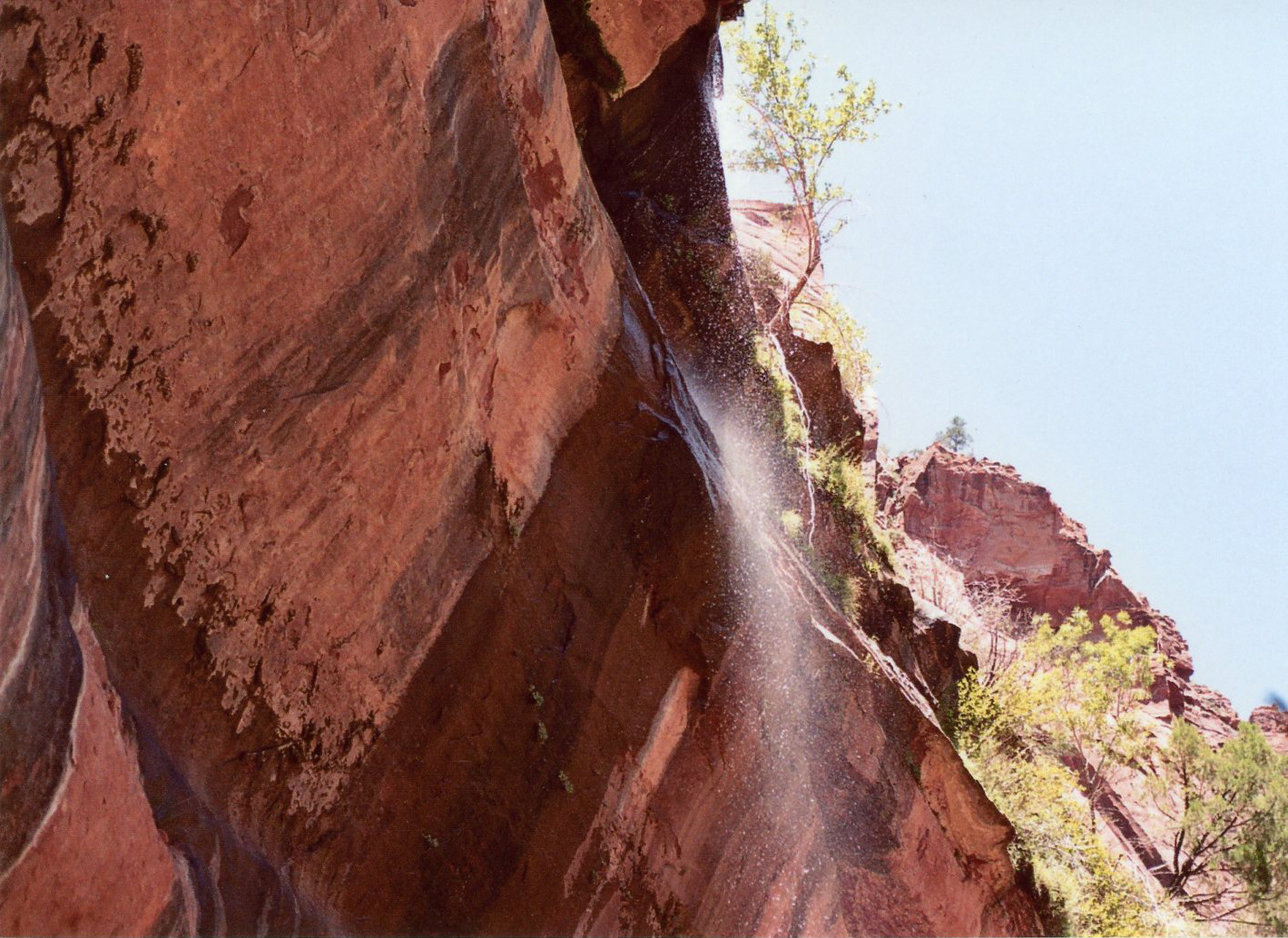 Zion National Park // July 2019