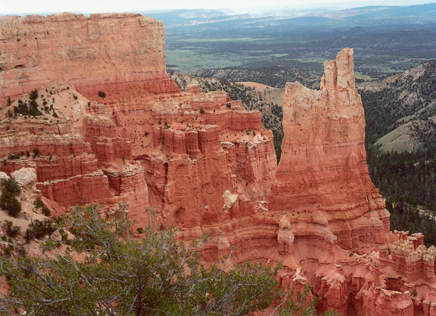 Bryce Canyon National Park // July 2019