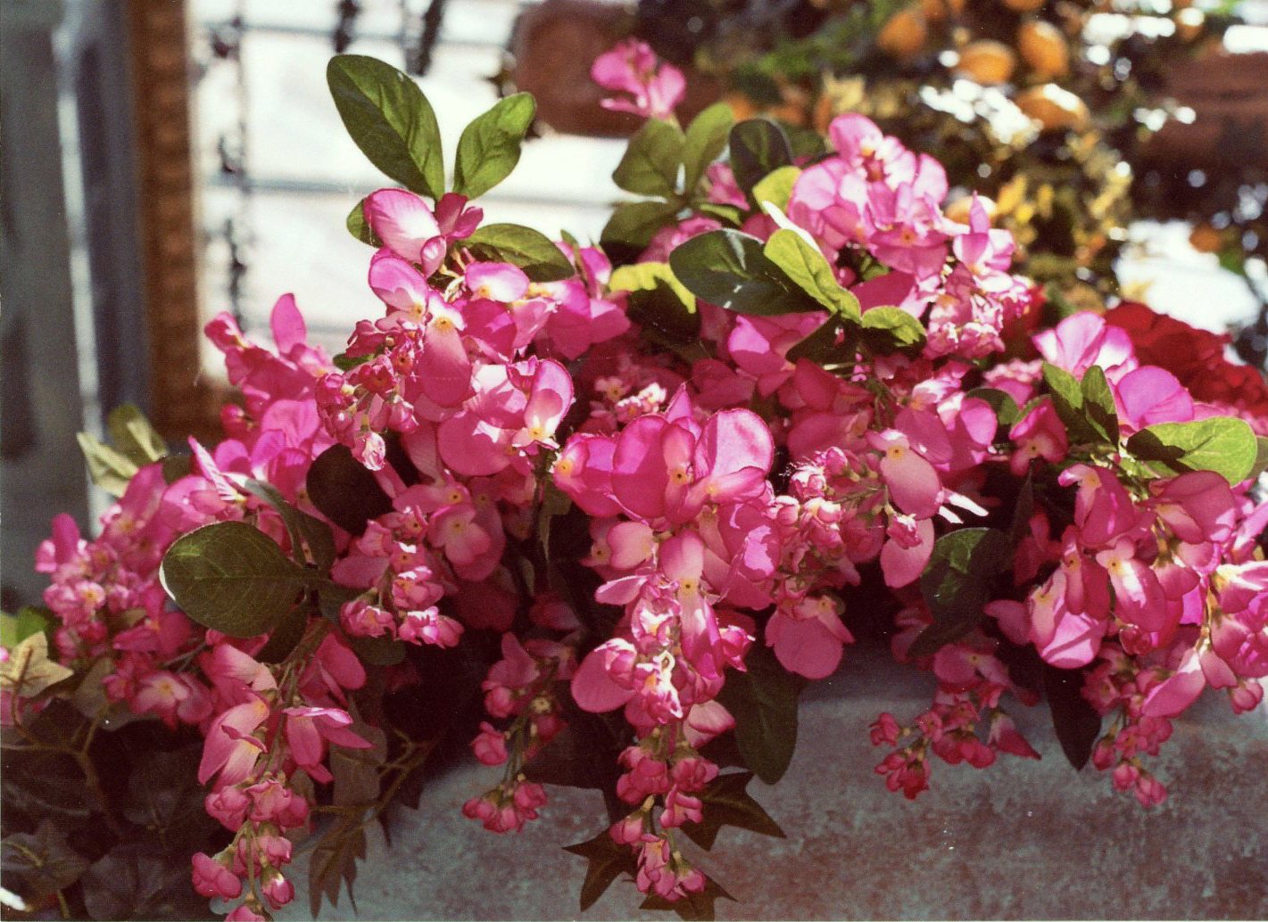 Spring 2019