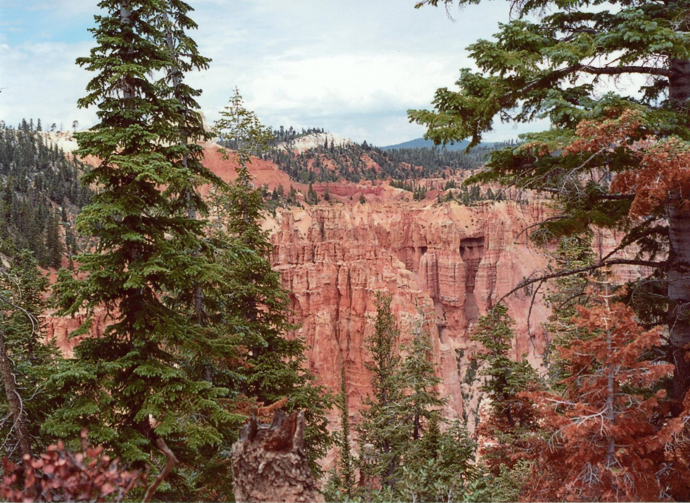 Bryce Canyon National Park // July 2019
