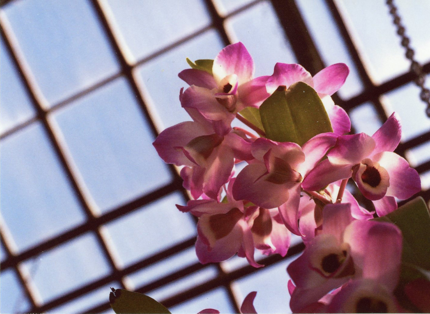 Spring 2019