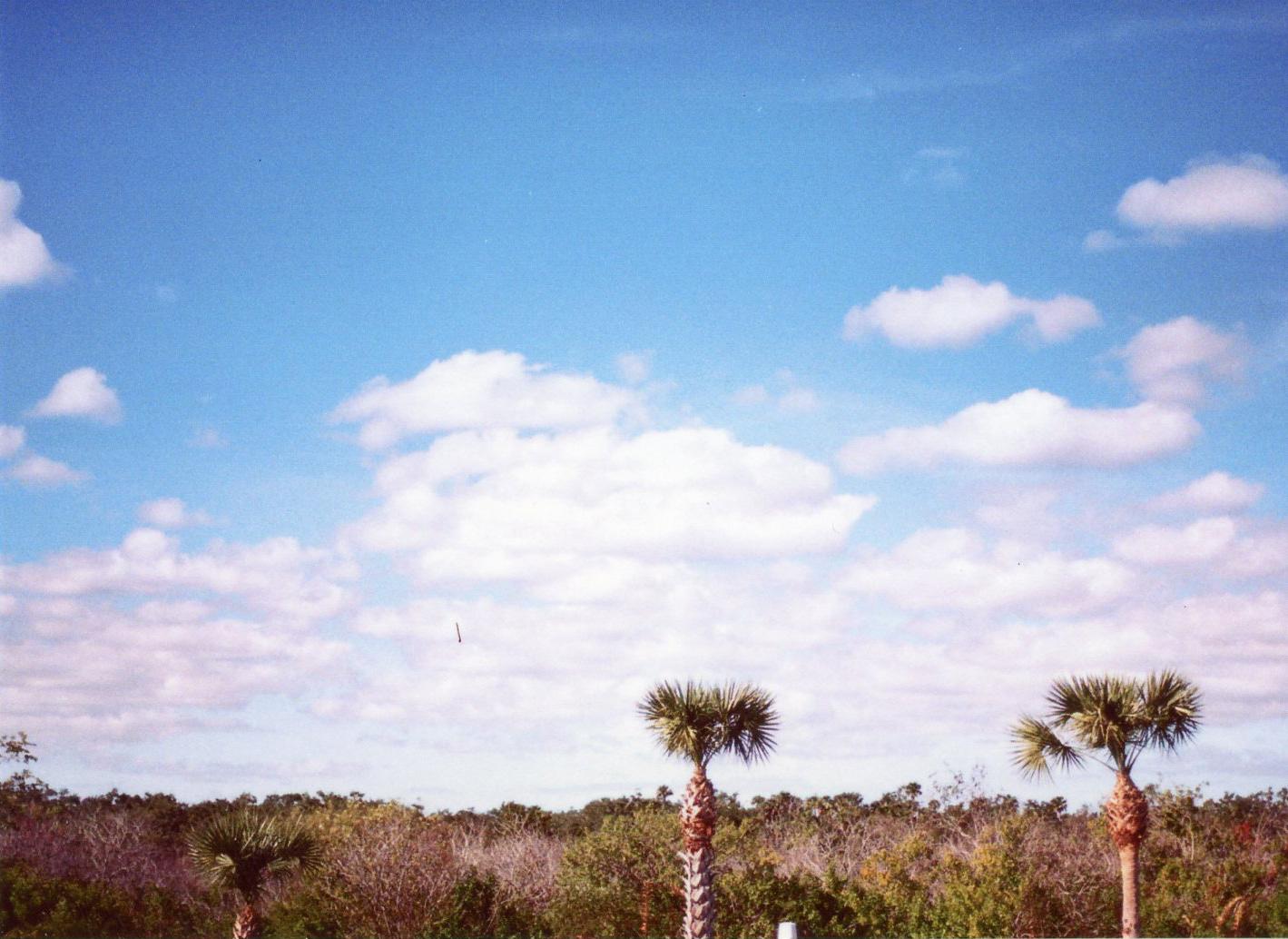 Florida // December 2018
