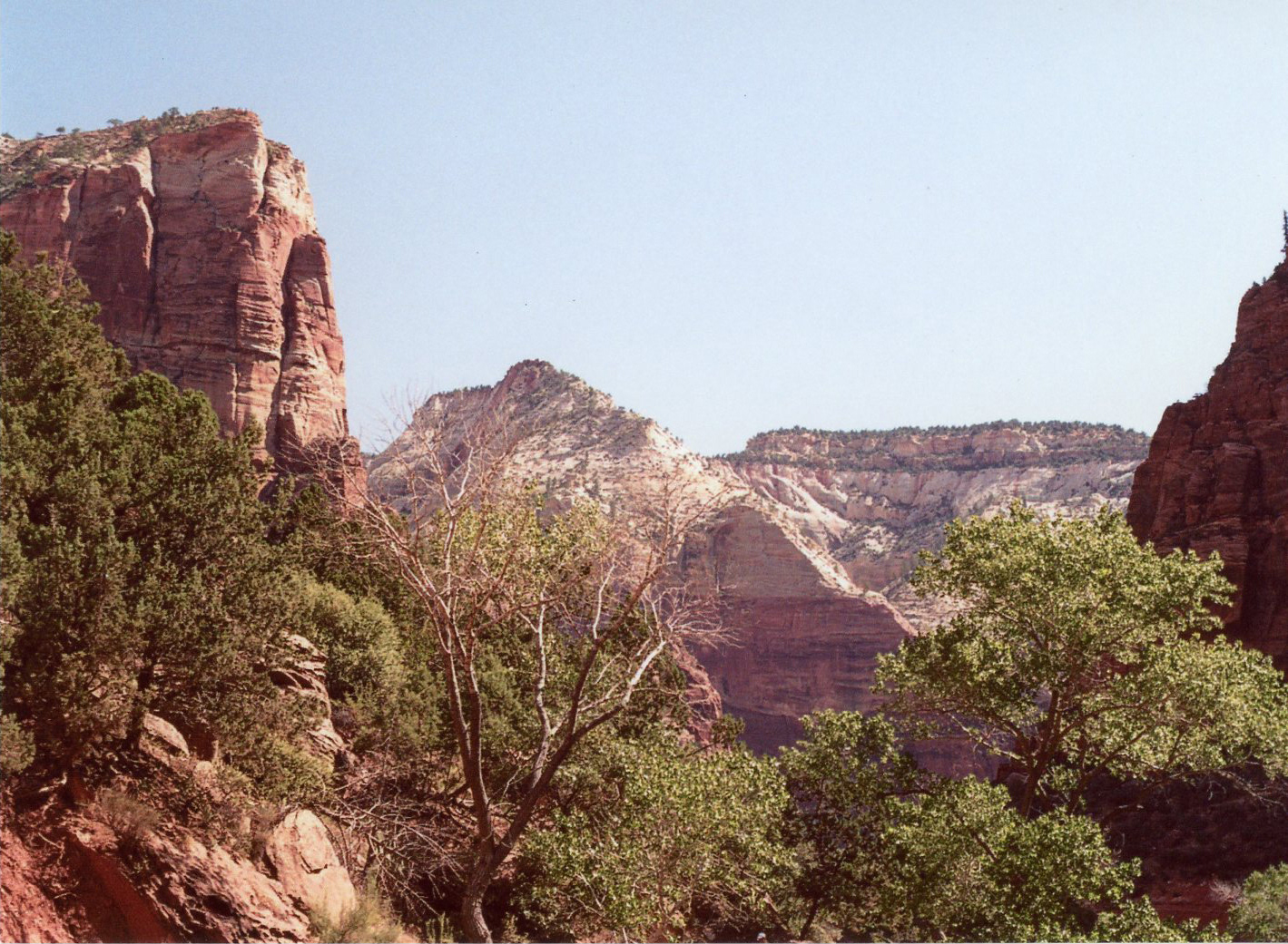 Zion National Park // July 2019