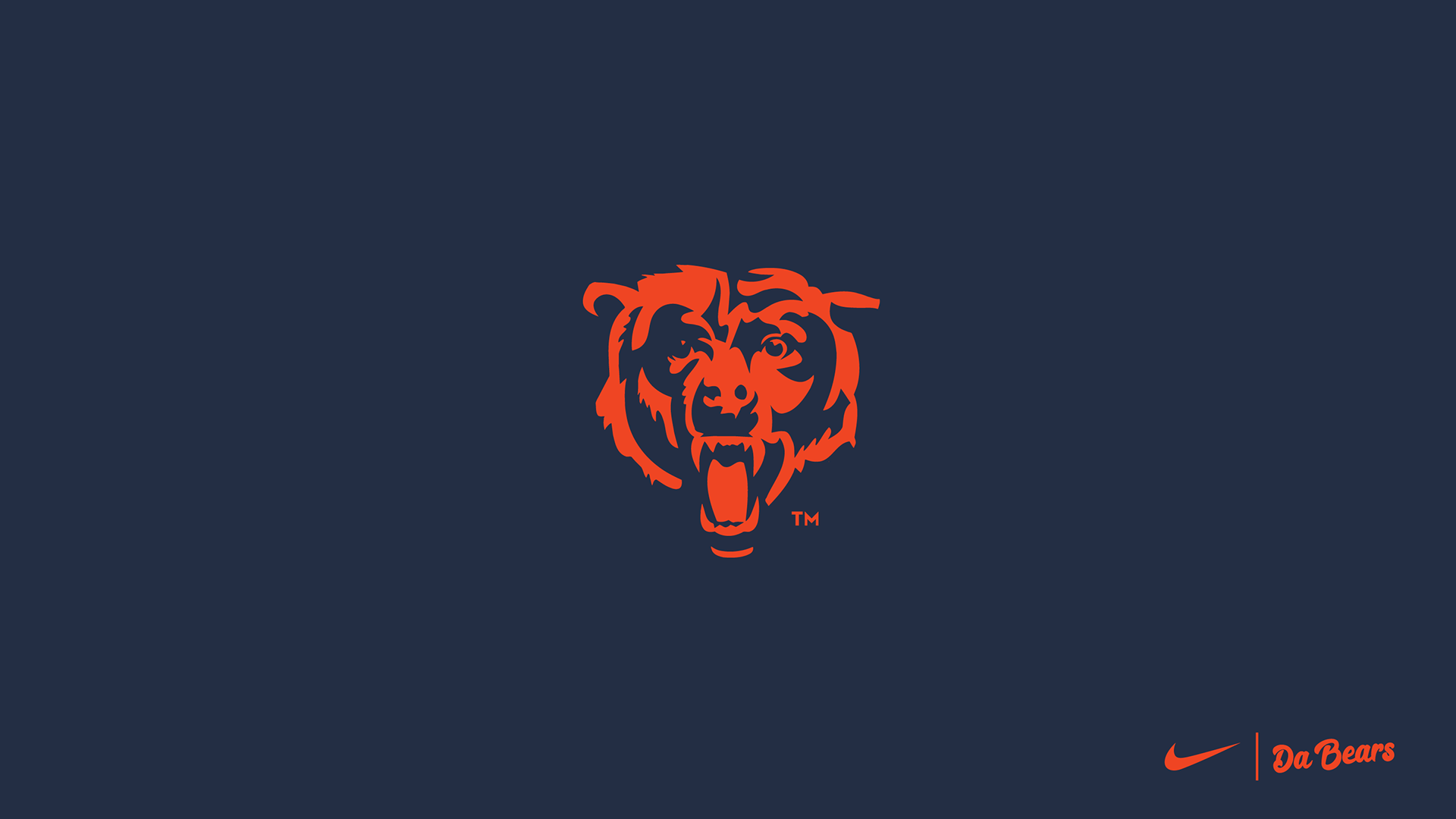 Chicago Bears Inspired GSH Stripes | Tapestry