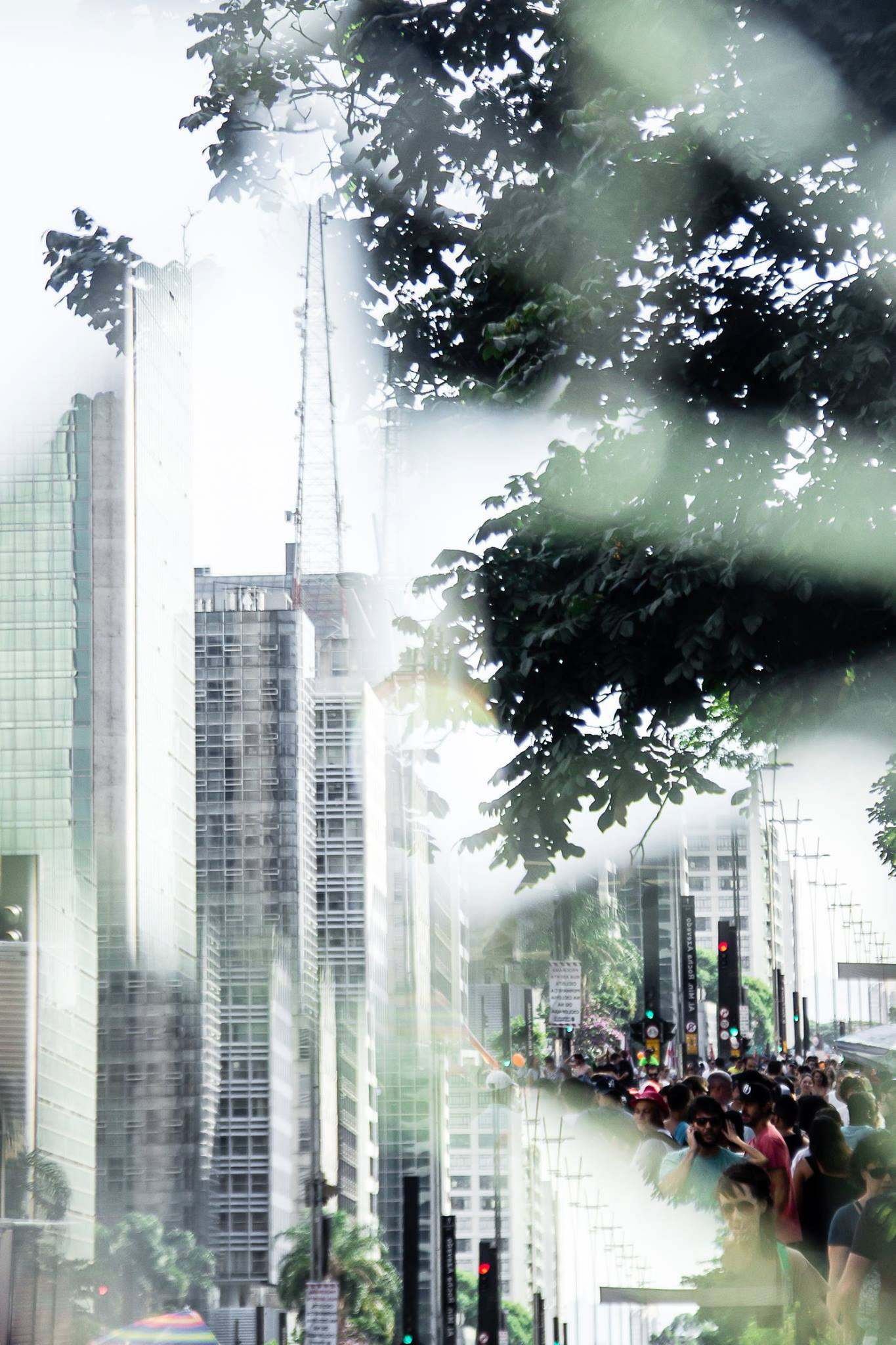 São Paulo/Brasil