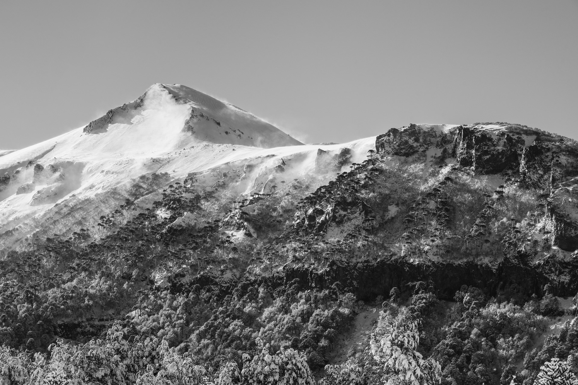 Araucanía Invernal (Araucanía, Chile)