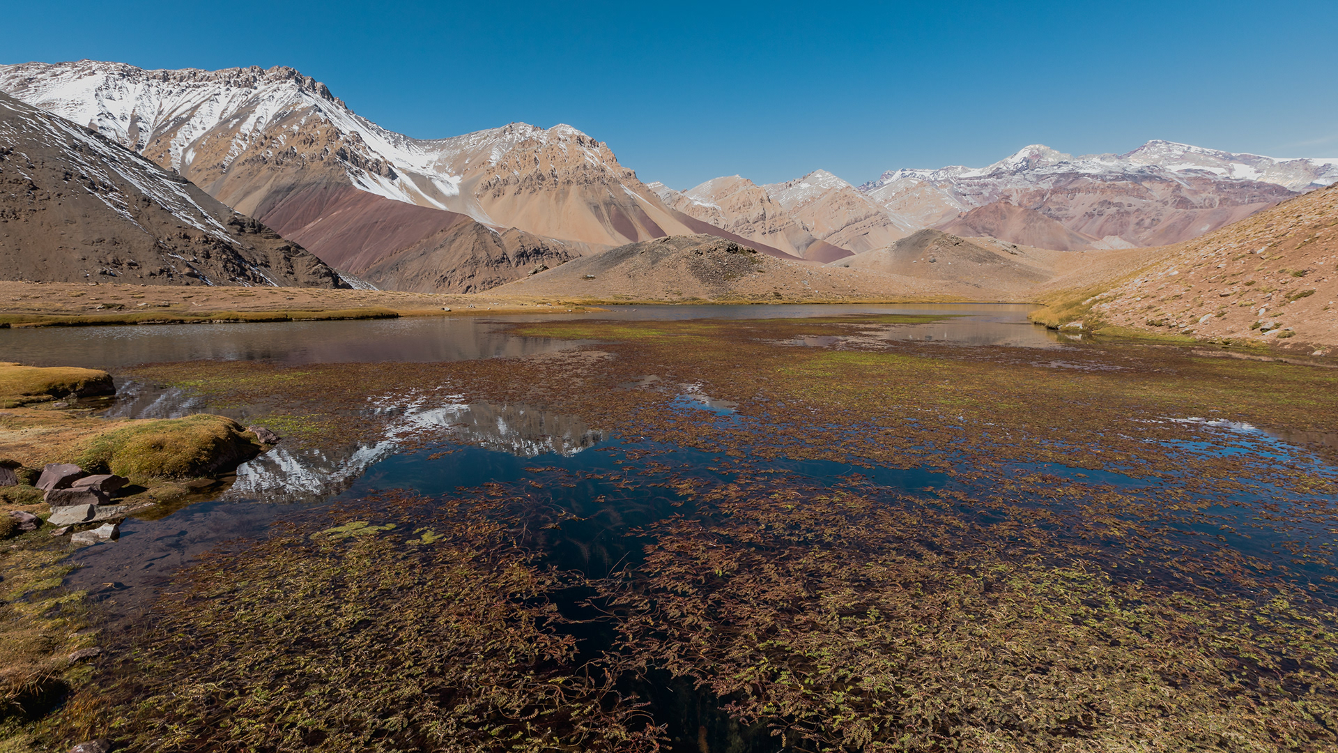 Laguna de Los Patos, Chile