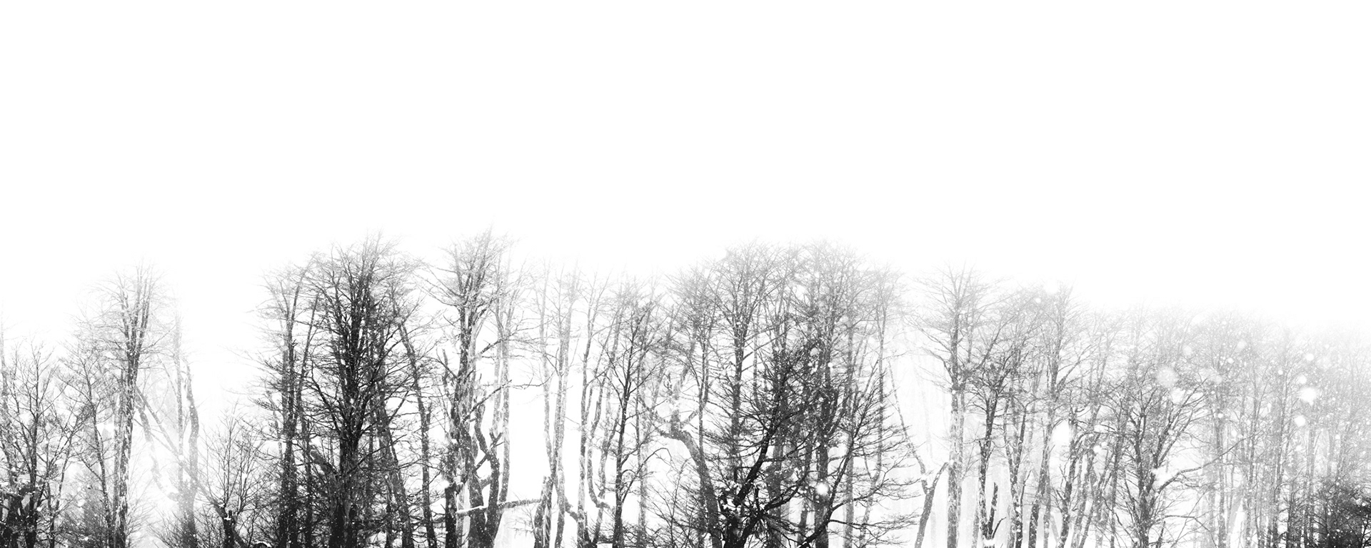 Bosque de invierno · 150x60 cms. / 100x40 cms.