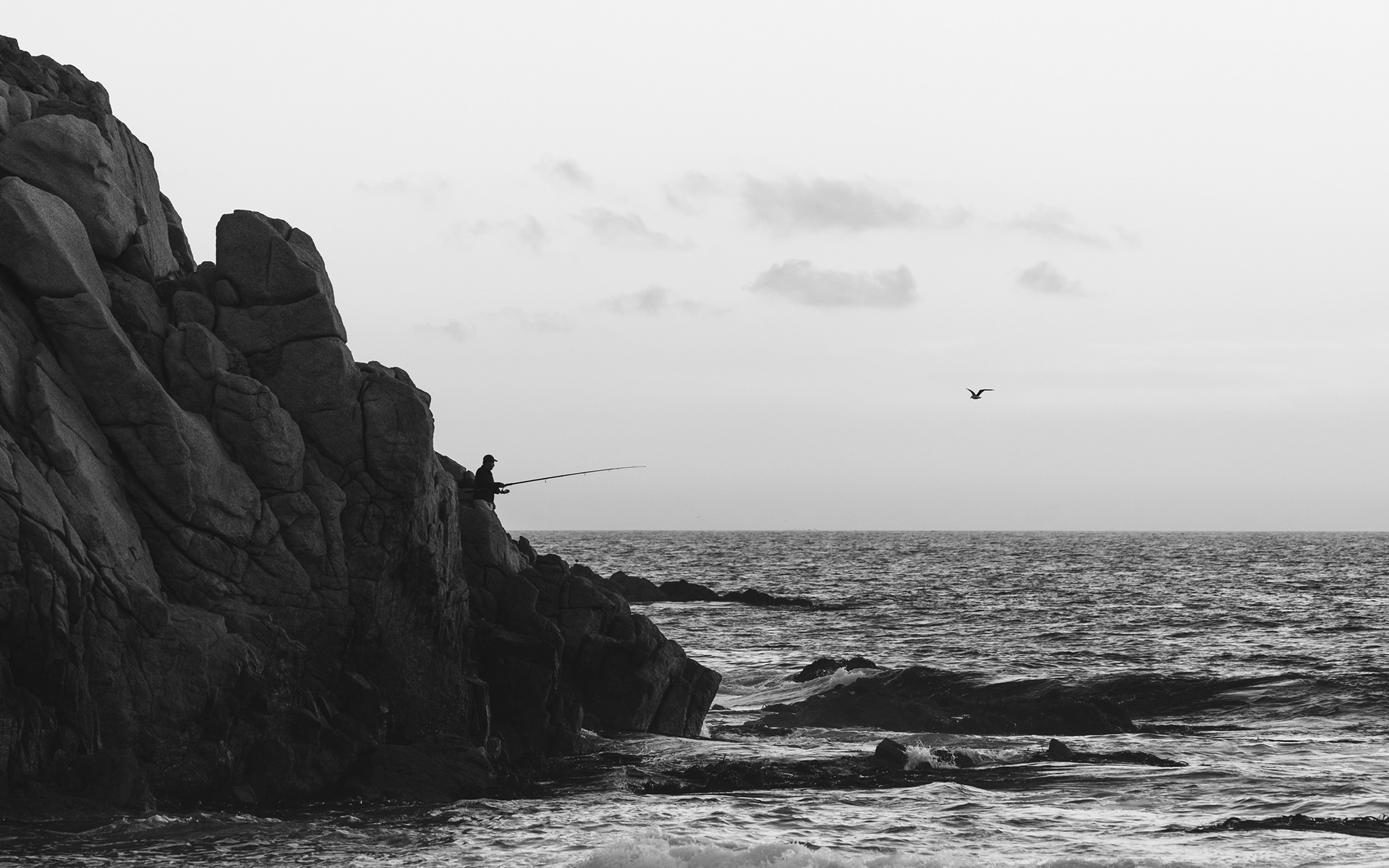 Pescador y gaviota