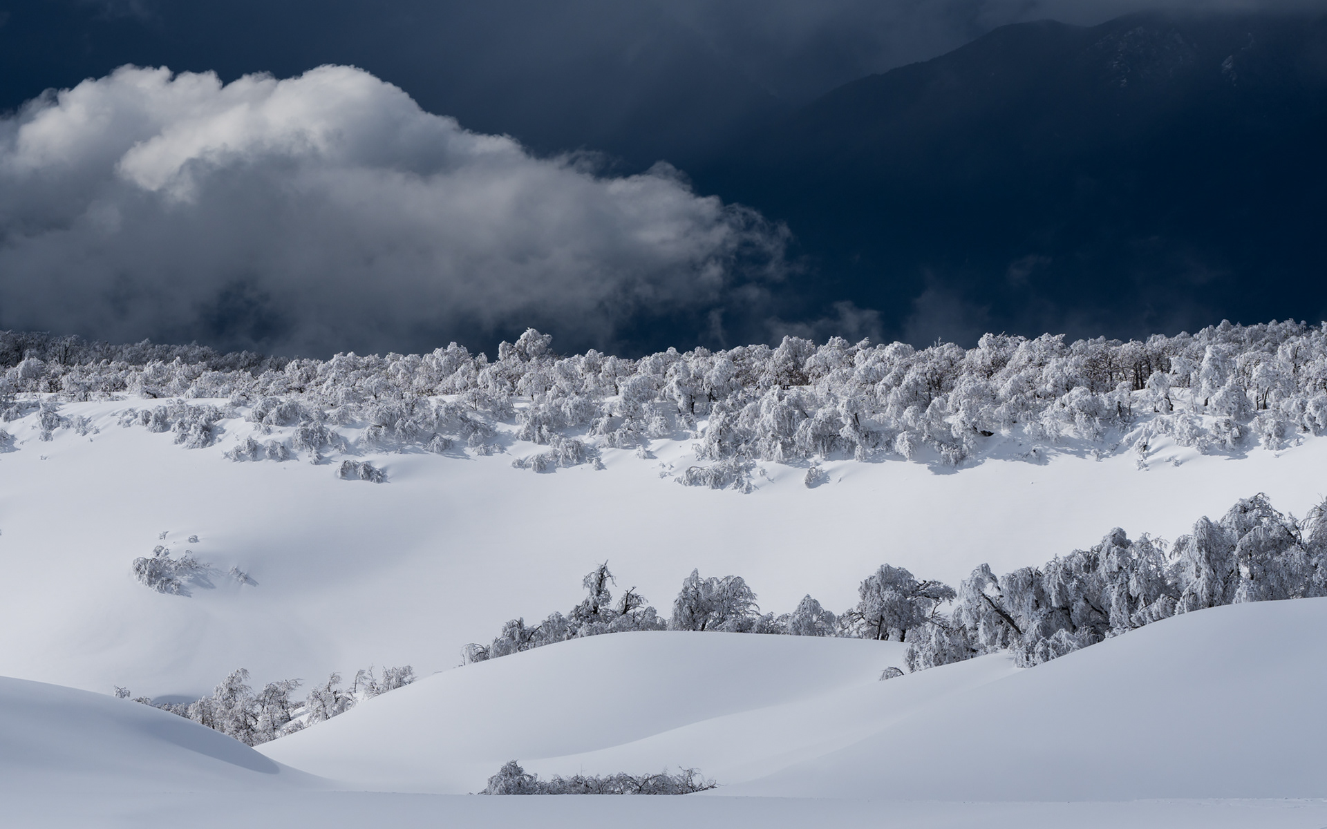 Lomajes de Invierno (Araucanía, Chile)