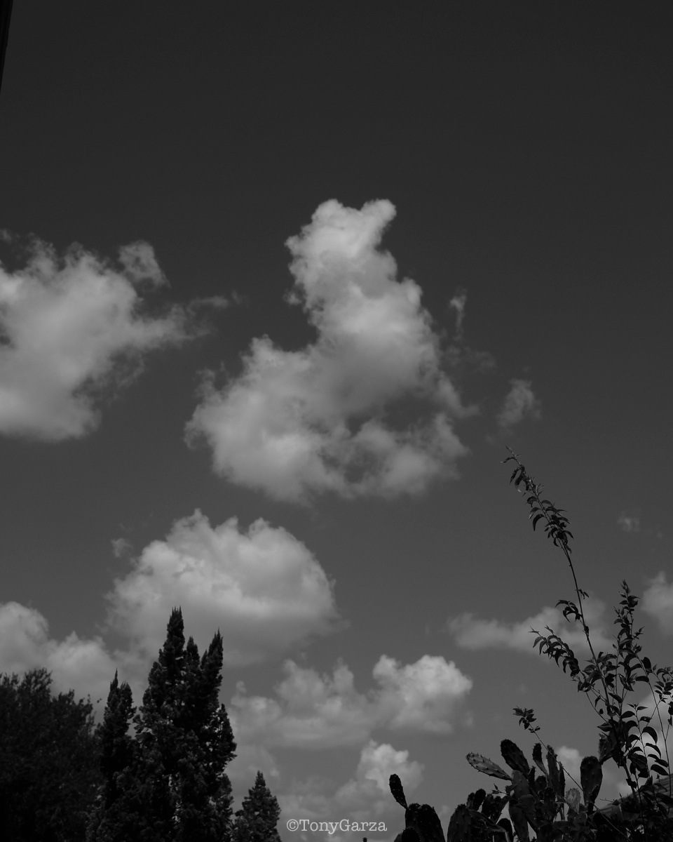 3 days after Dakota's passing