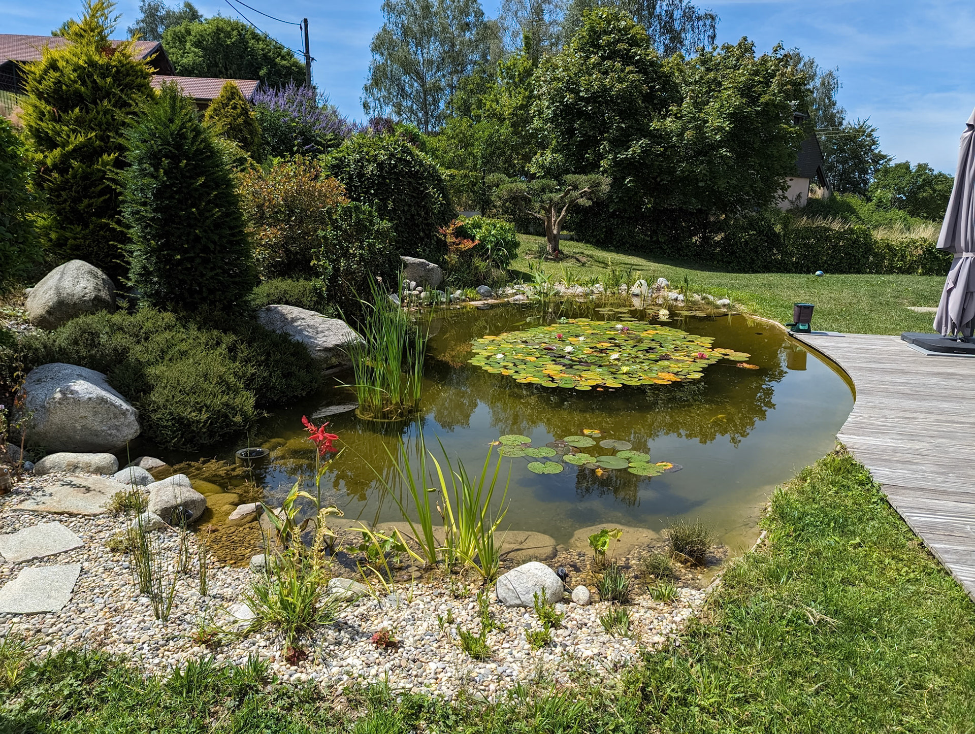 Bassin à koï 50m²