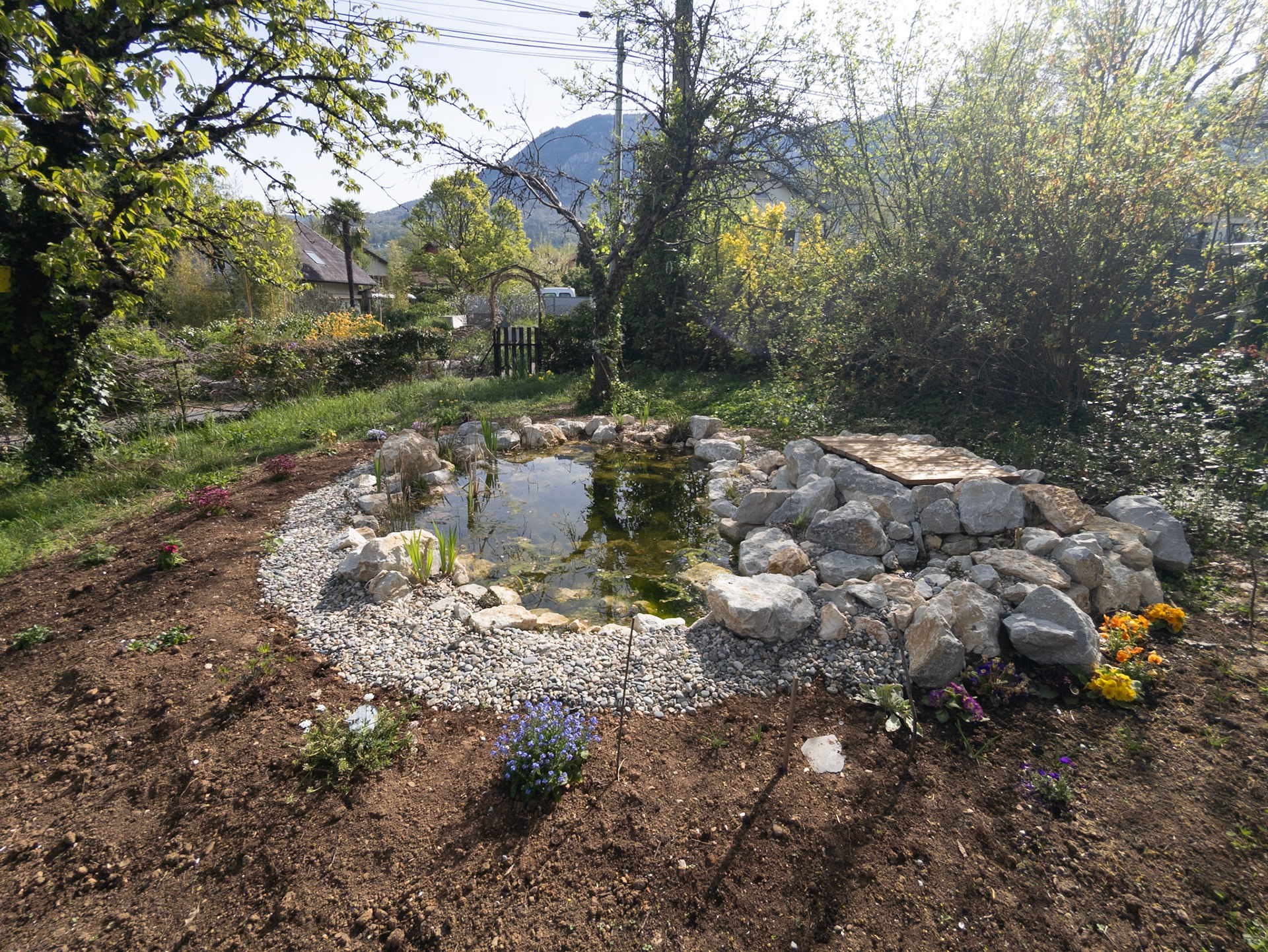Bassin naturel 10m²