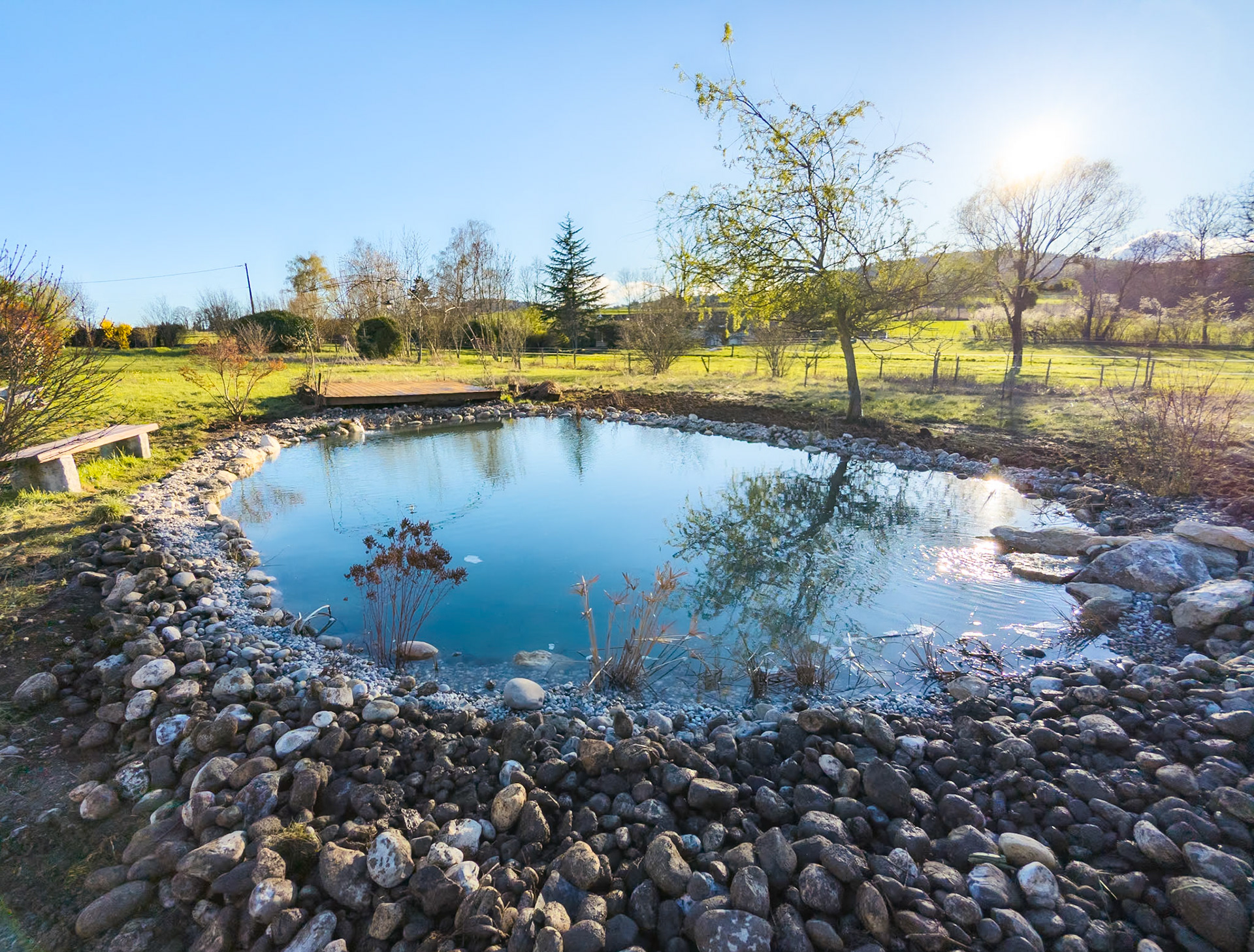 Bassin naturel 150m²