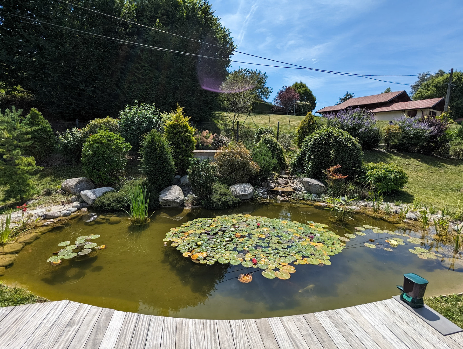 Bassin à koï 50m²