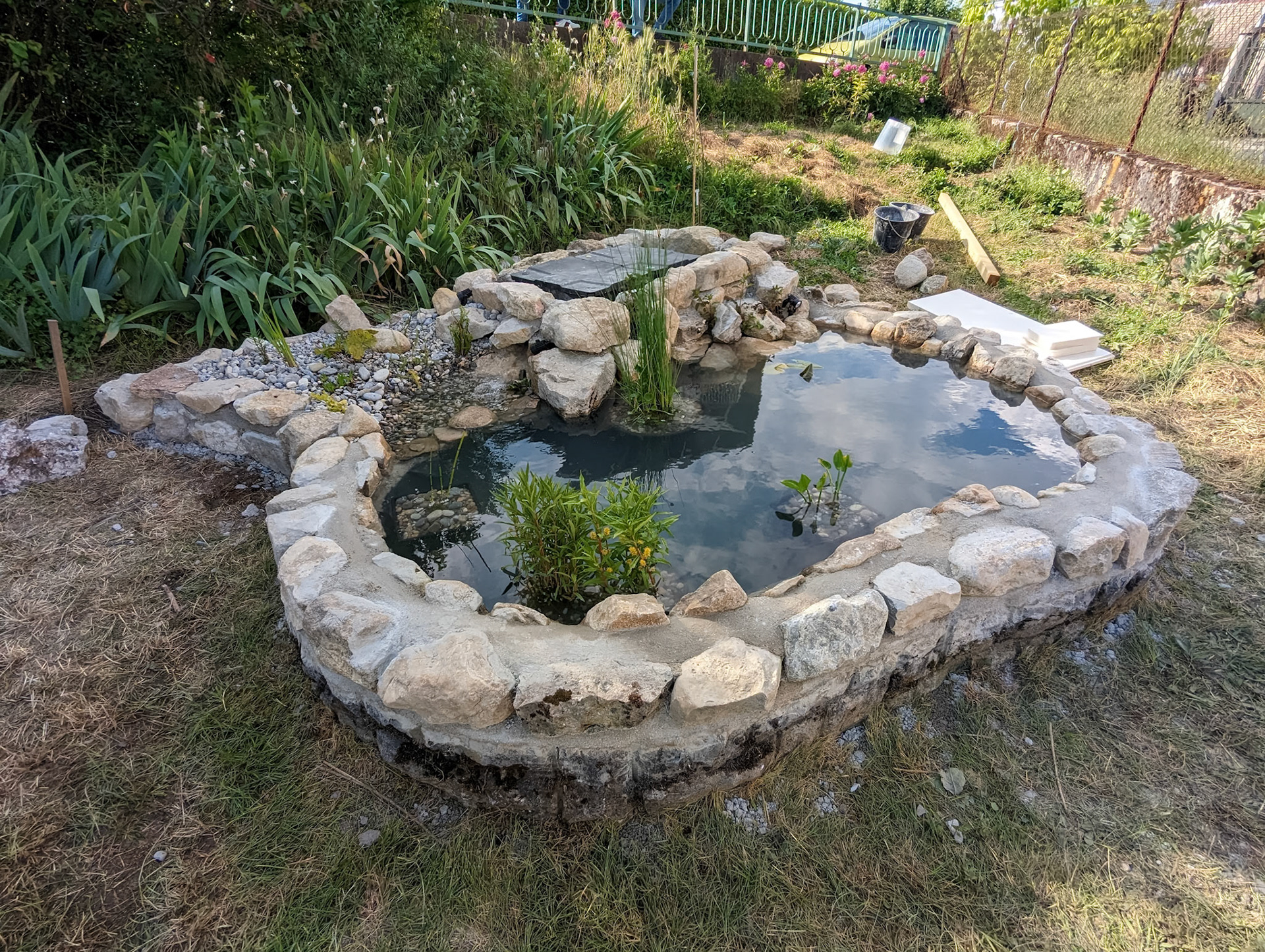 Bassin à poissons rouges 6m²