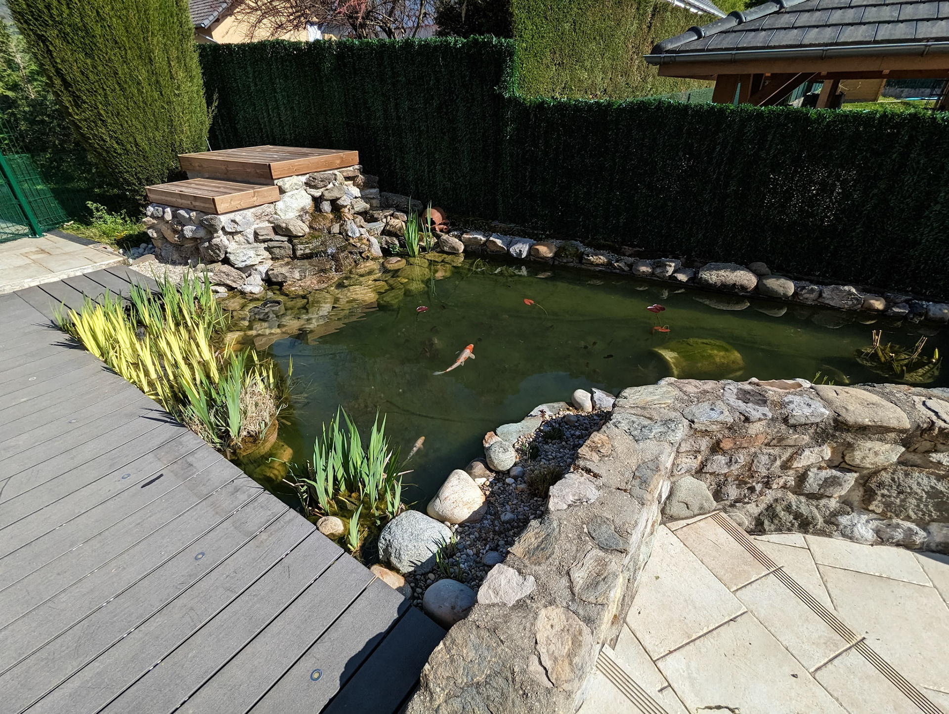 Bassin à koï 15m²