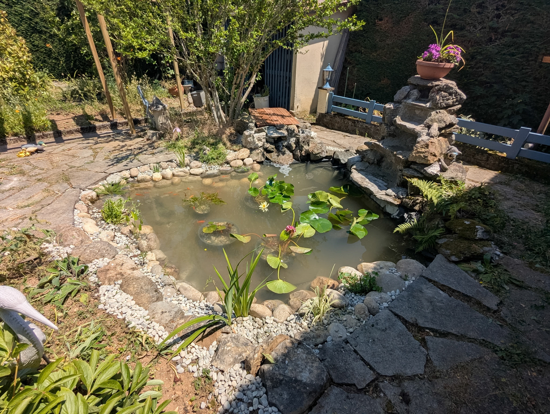 Rénovation de bassin
