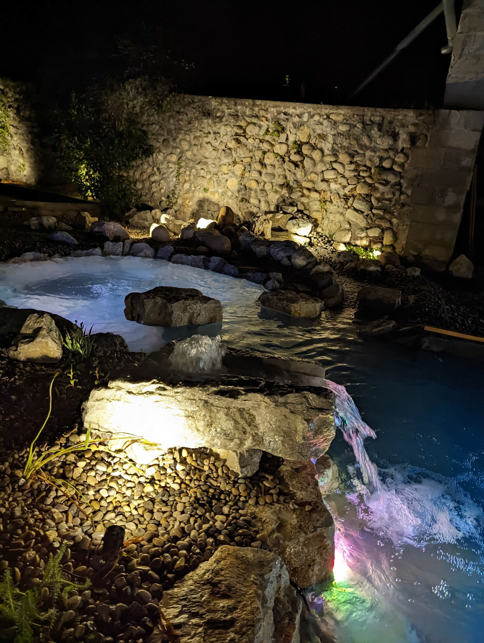 Piscine naturelle 50m²