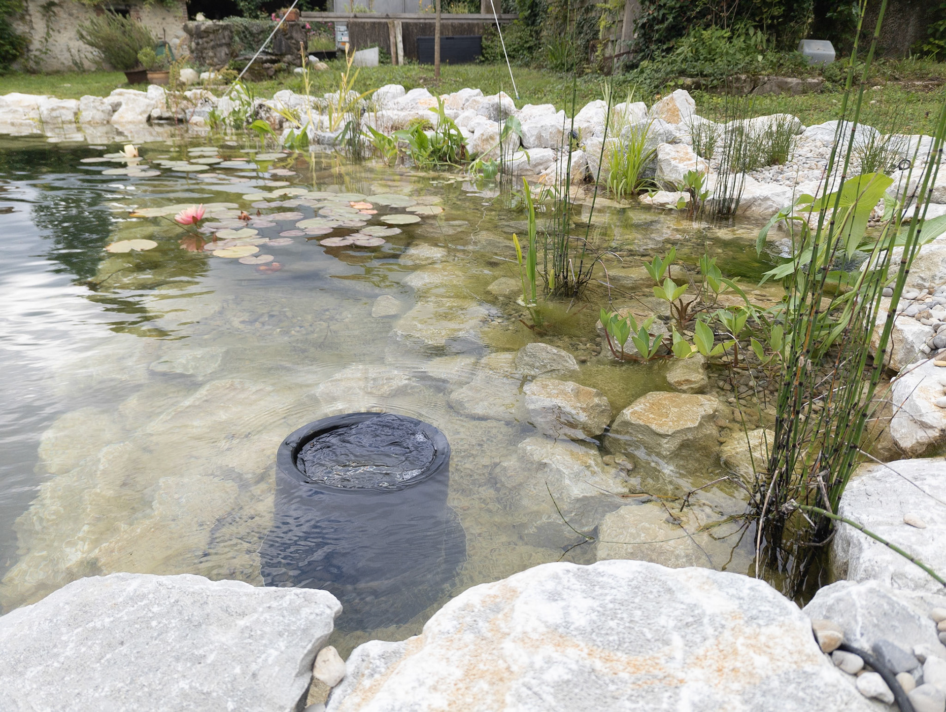 Piscine naturelle - Skimmer